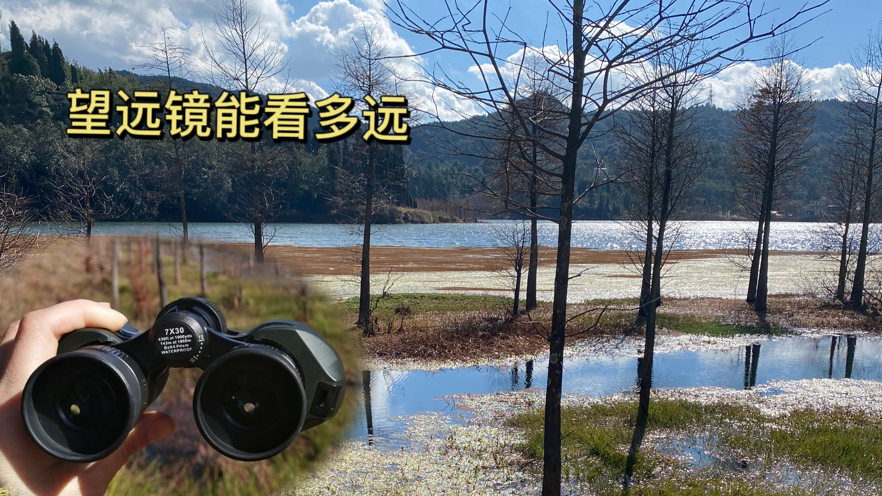 望远镜可以看多远?湖里大白鹅的双眼皮清晰可见