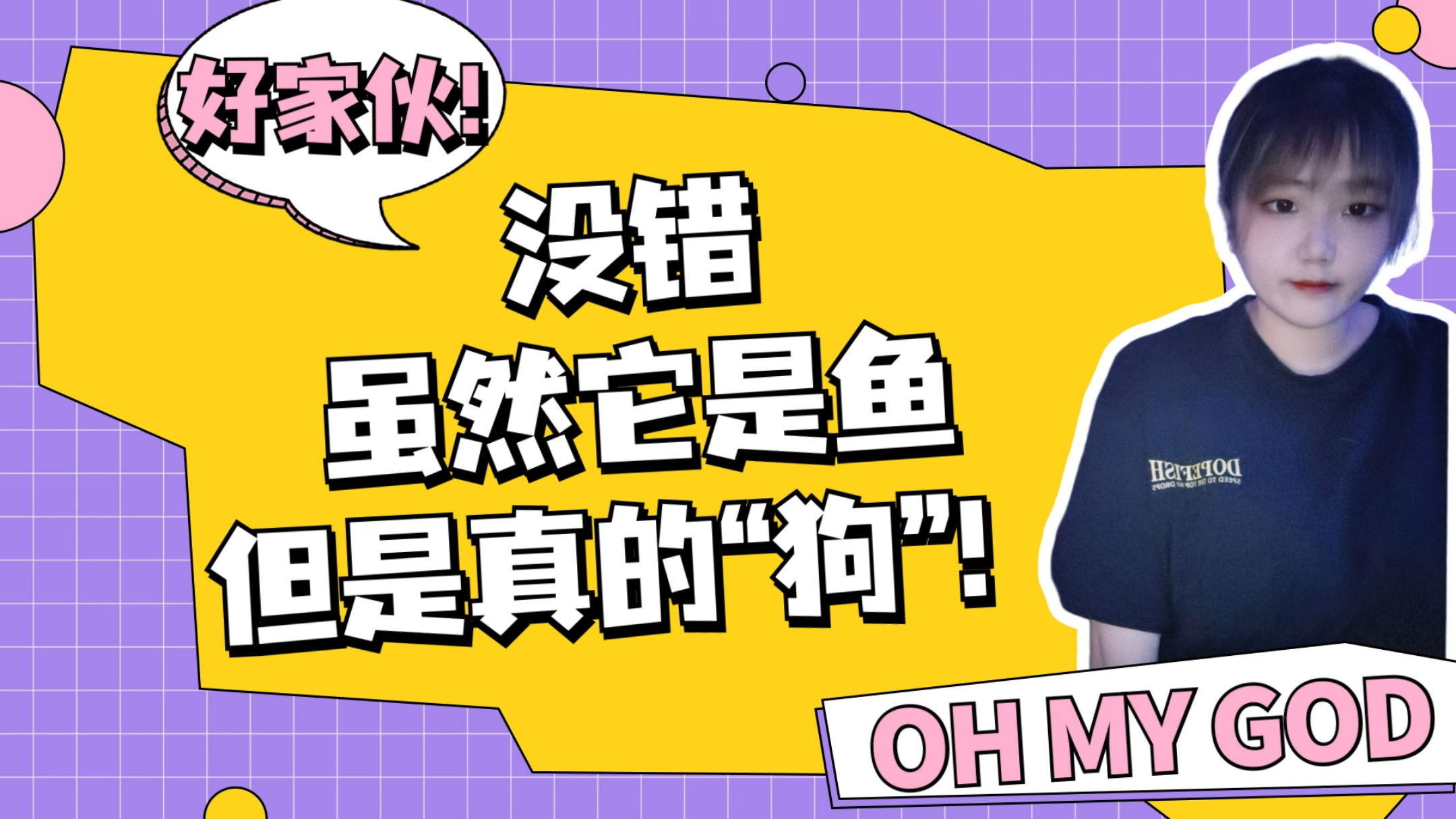 没错,虽然它是鱼,但是真的“狗”
