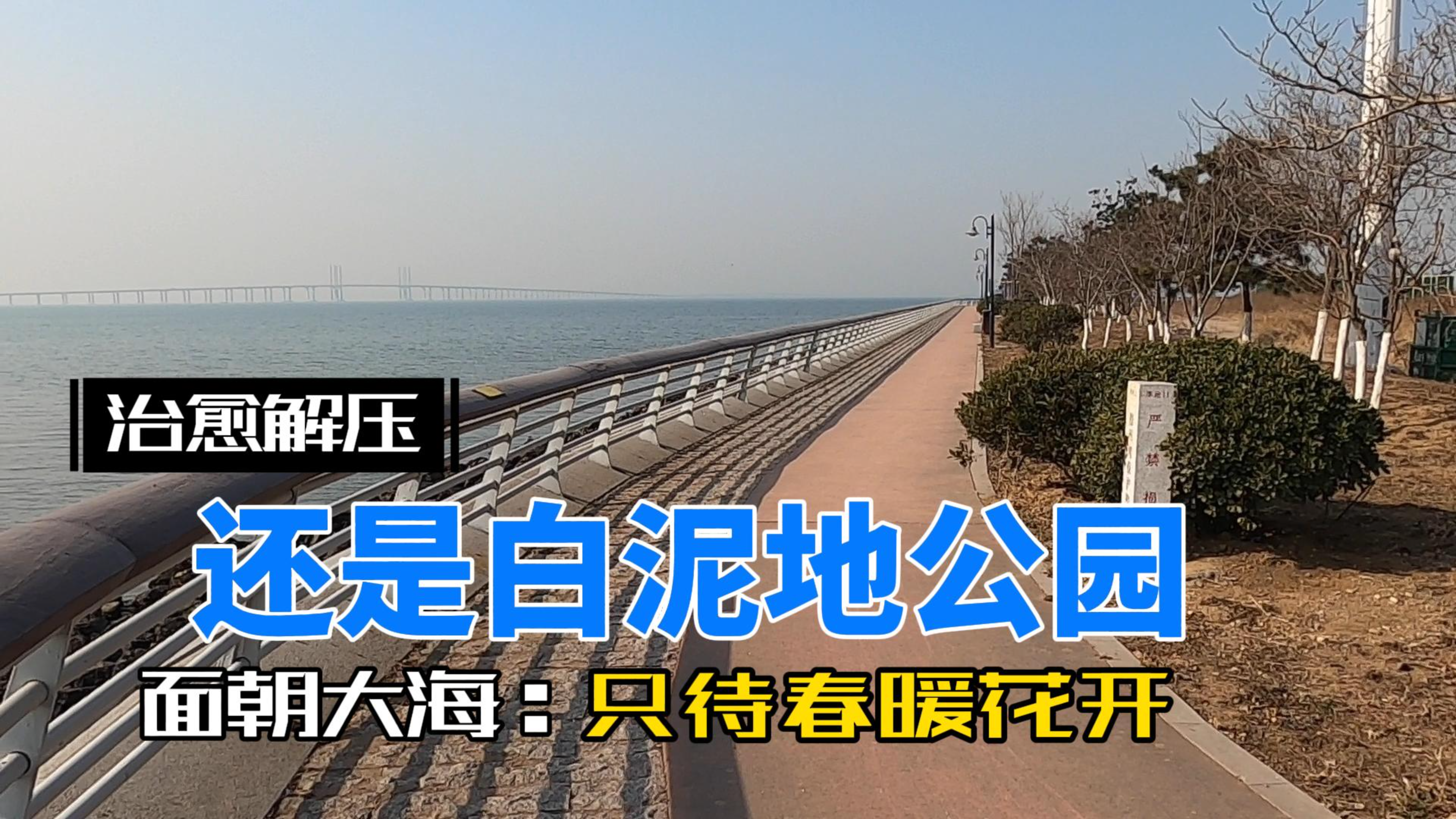 一个人,一片大海,可以跑步可以挖噶啦面朝大海,只待春暖花开