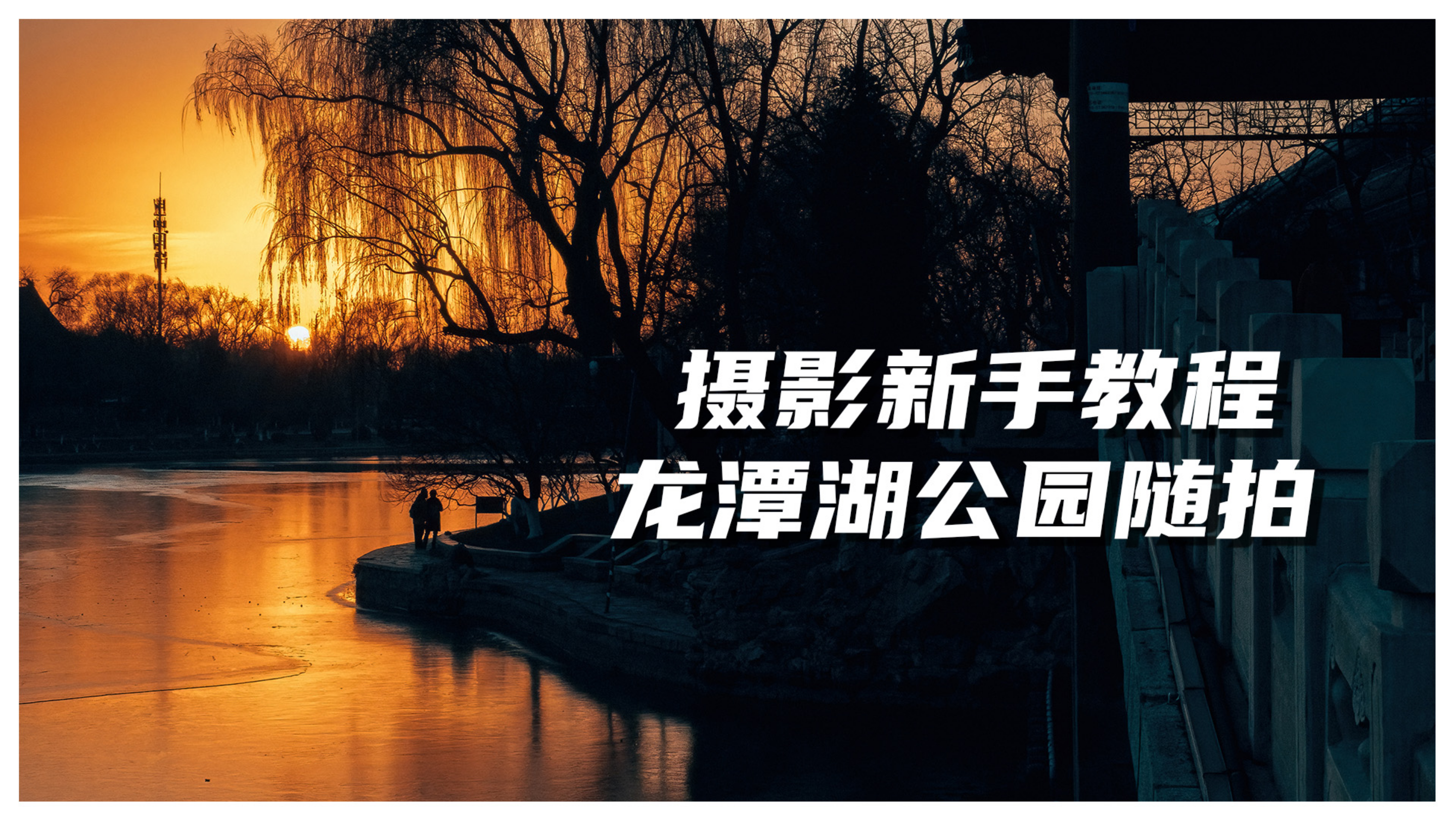 摄影新手教程,龙潭湖公园随拍(2)