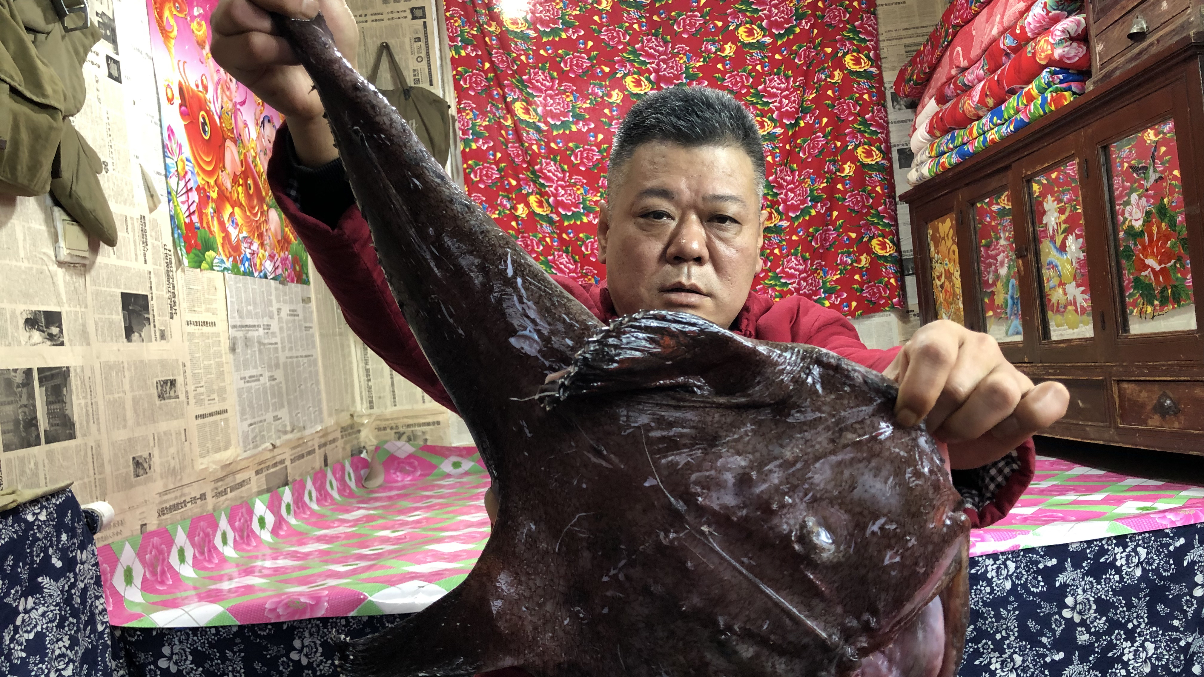 农家铁锅酱焖安康鱼,看着巨丑的鱼吃着还挺鲜美,小邱吃的嗷嗷香