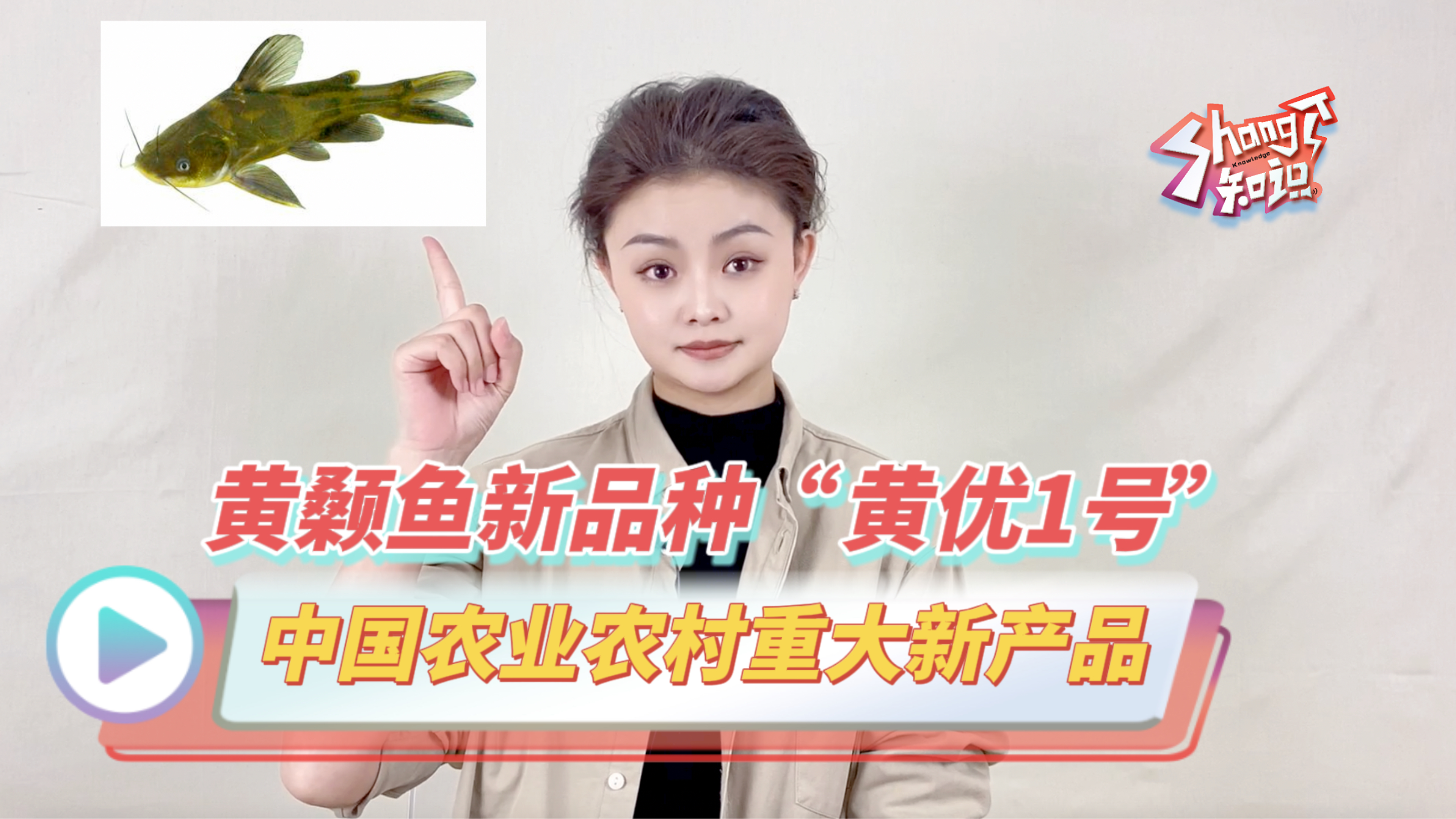 中国农业农村重大新产品——黄颡鱼新品种“黄优1号”