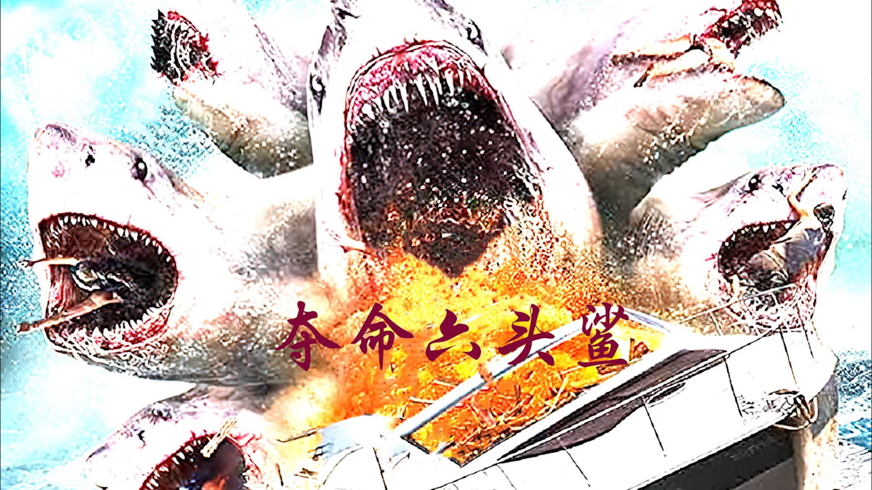 六个头的鲨鱼,你见过吗