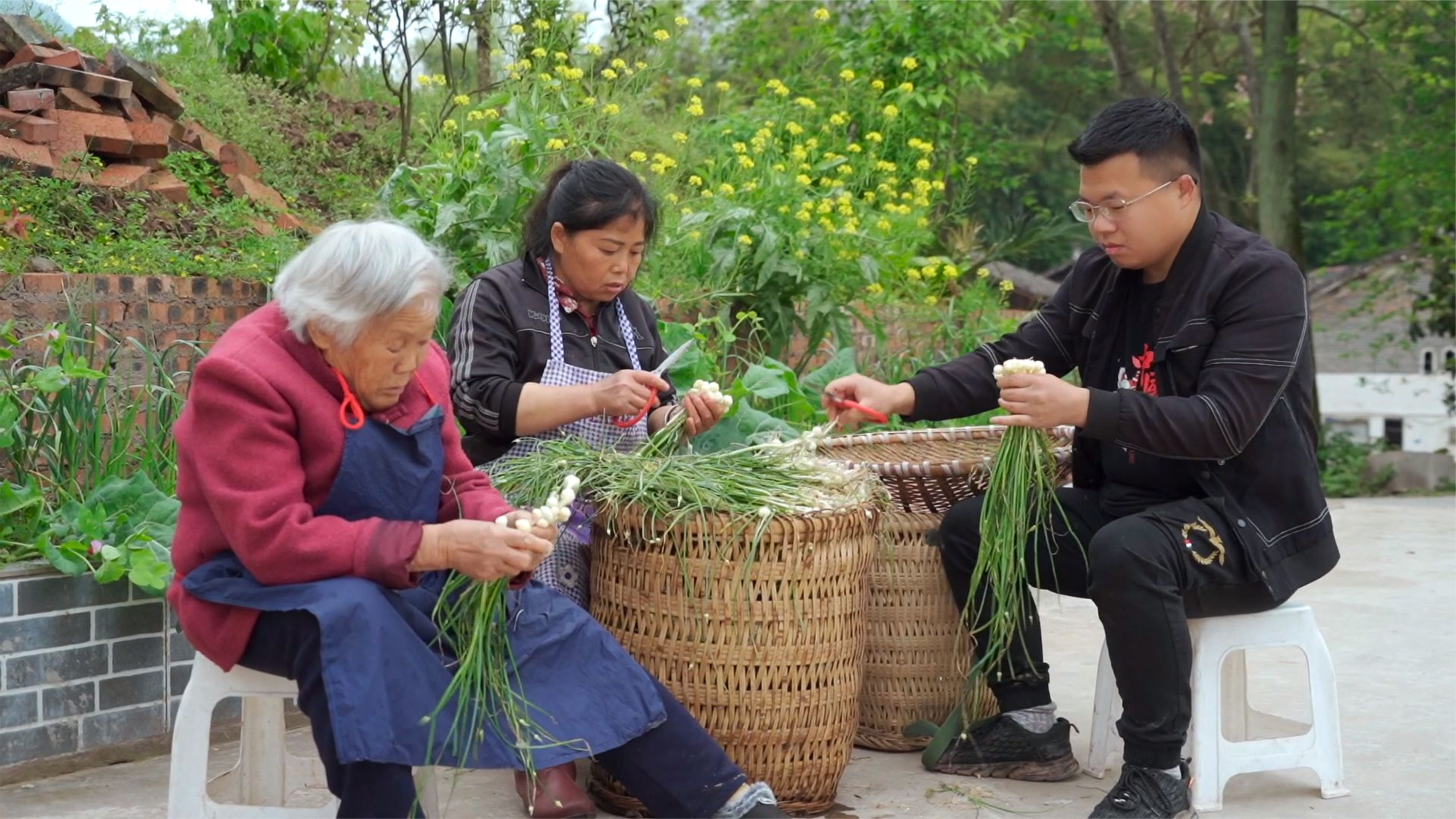山上挖回来的野蒜,把蒜苔抽出来炒肉丝,这味道简直难得吃一回!
