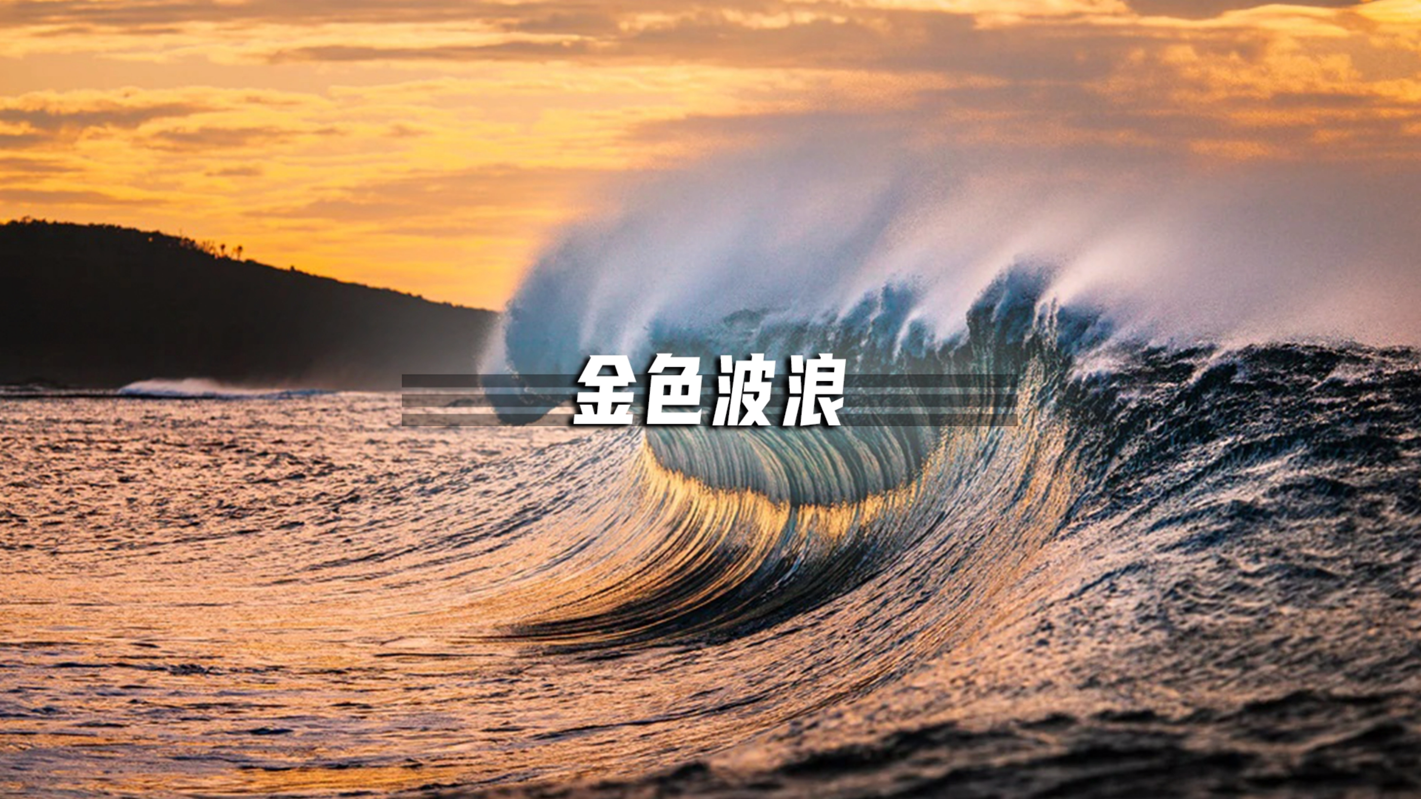从4毛一斤到11万一条,大黄鱼到底经历了什么?