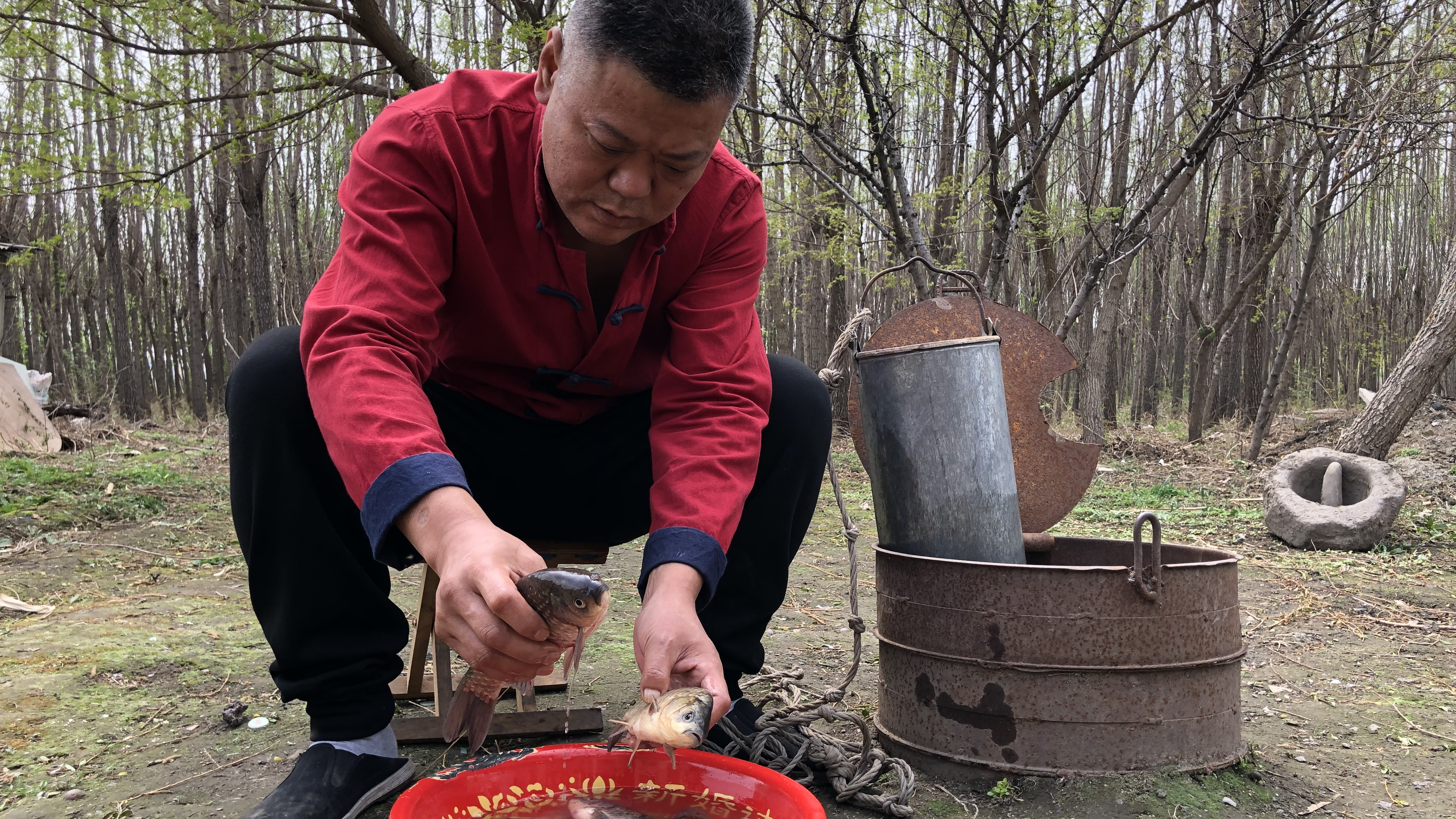 好兄弟送来野生小鲫鱼,酱焖一大锅加上自家地里的野菜老下饭了!
