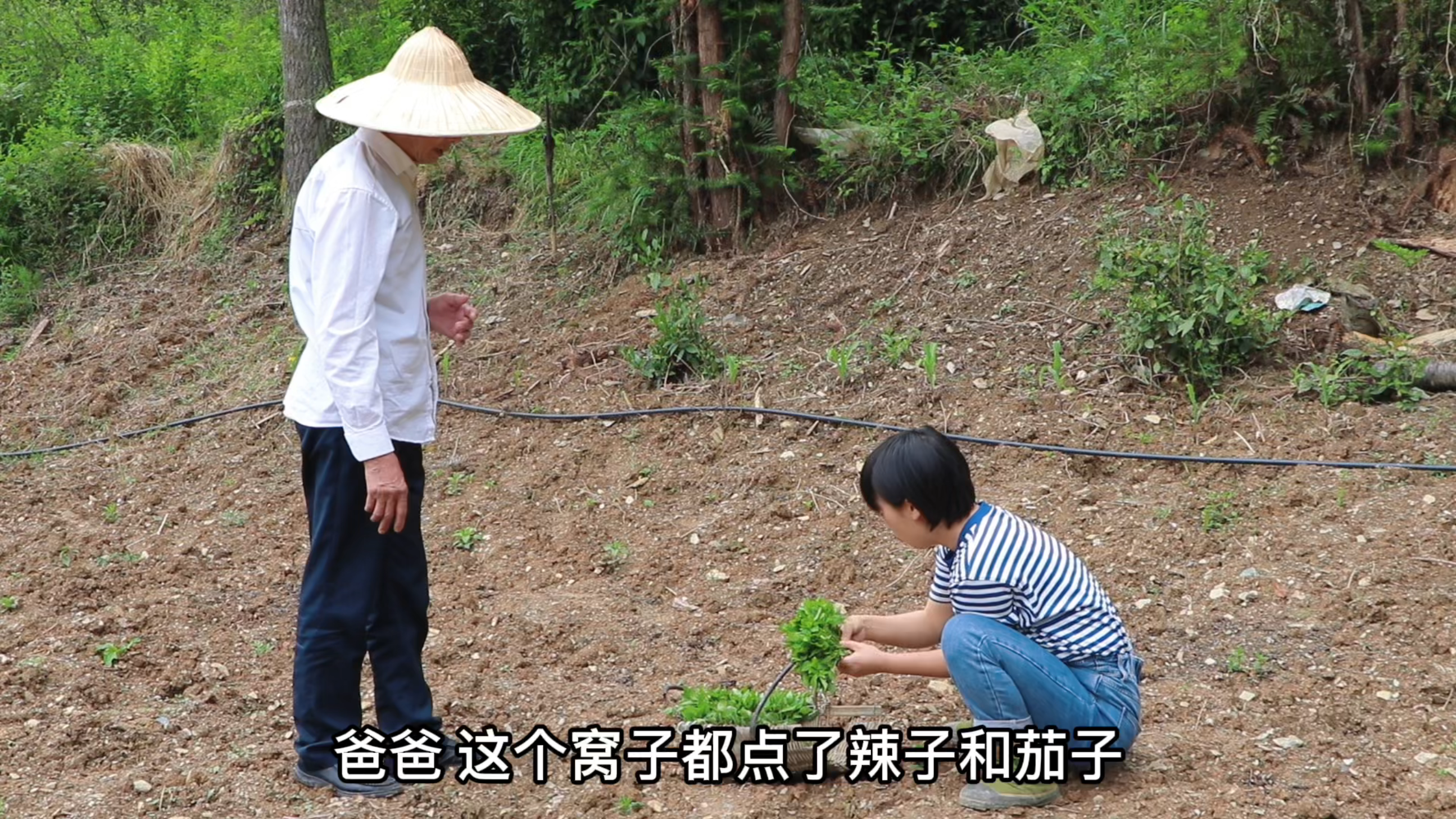 今日午餐:洋芋腊肉饭,胡豆炒盐菜,莴笋叶子鸡蛋汤,扎实又美味