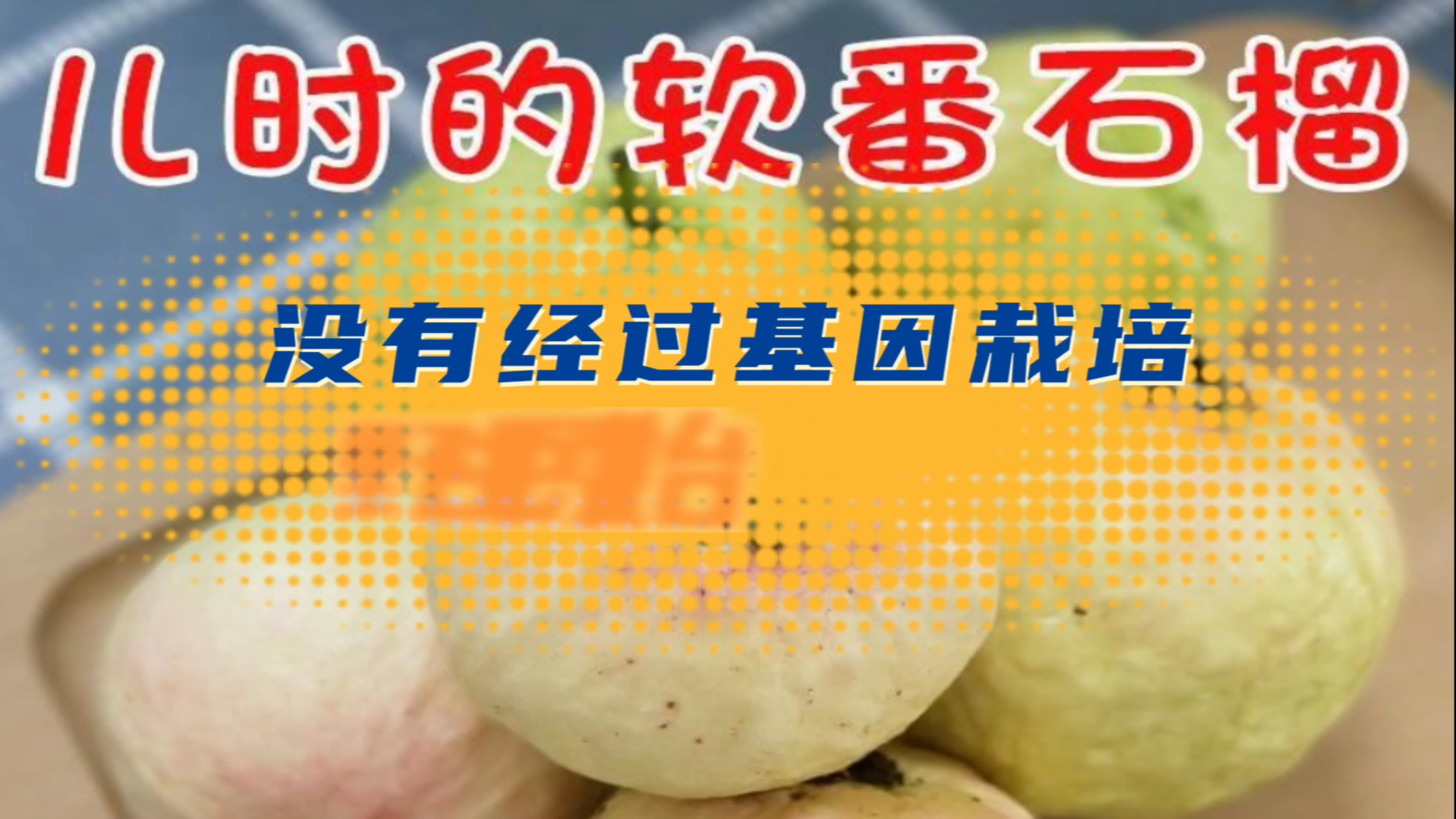芭乐、番石榴、  鸡屎果、你知道他们都是番石榴吗?