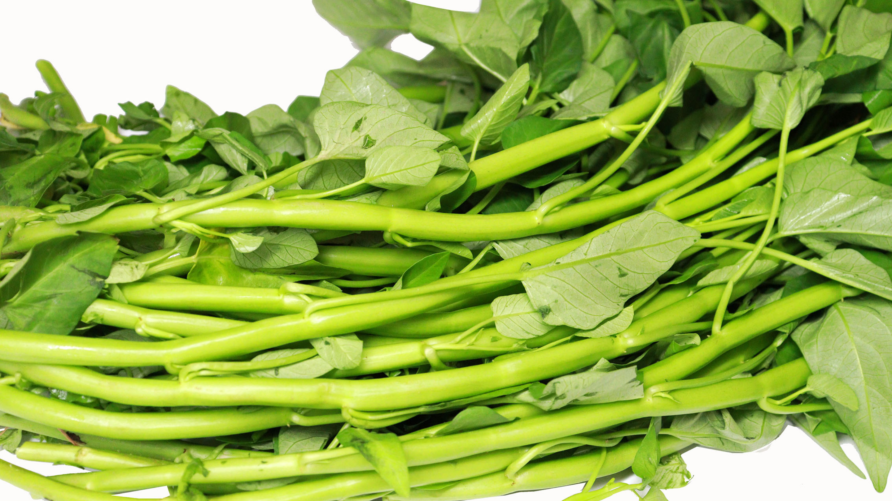 藤藤菜杆子别扔，四川特色下饭做法，脆嫩不发黄，端上桌就被抢光