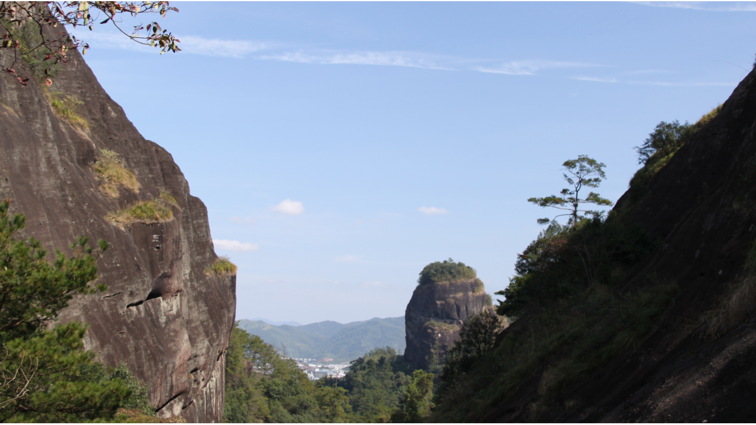 5元一枚茶叶蛋抢着买 大红袍牛肉马肉都是茶  寻茶武夷山三坑两涧