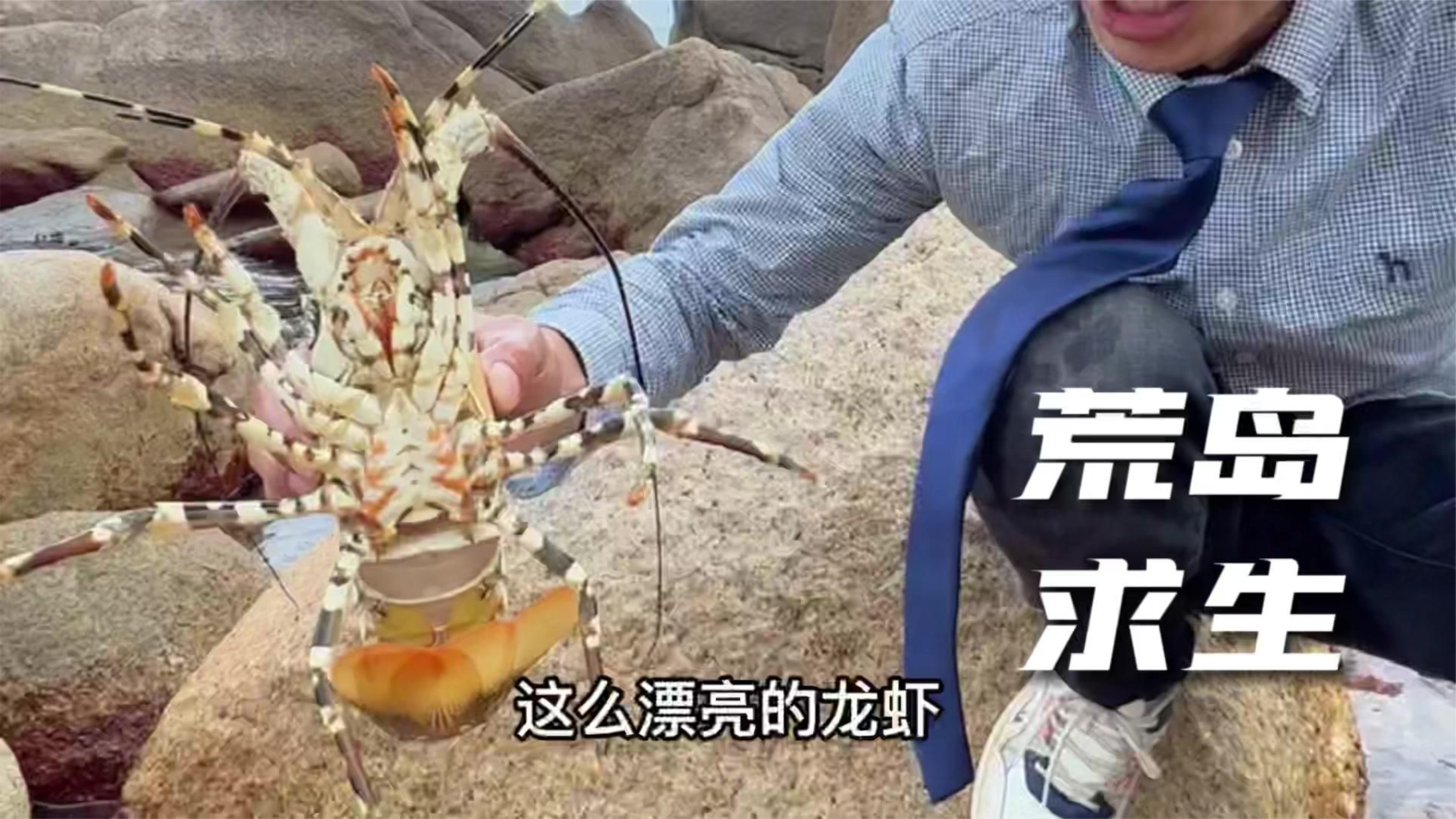 荒岛生存捕获大龙虾