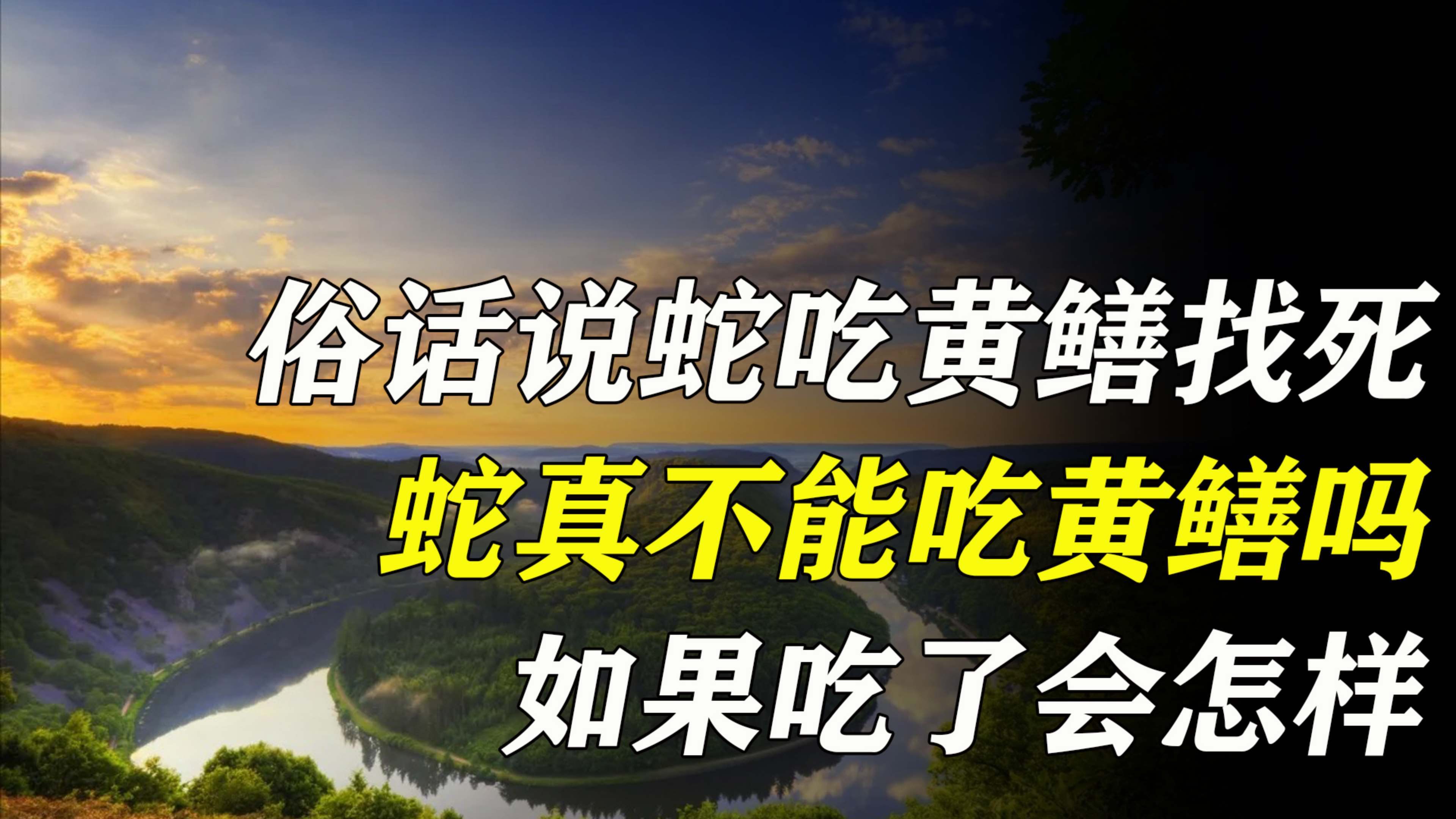 俗话说“蛇吃黄鳝找死”,蛇真的不能吃黄鳝吗?如果吃了会怎样?