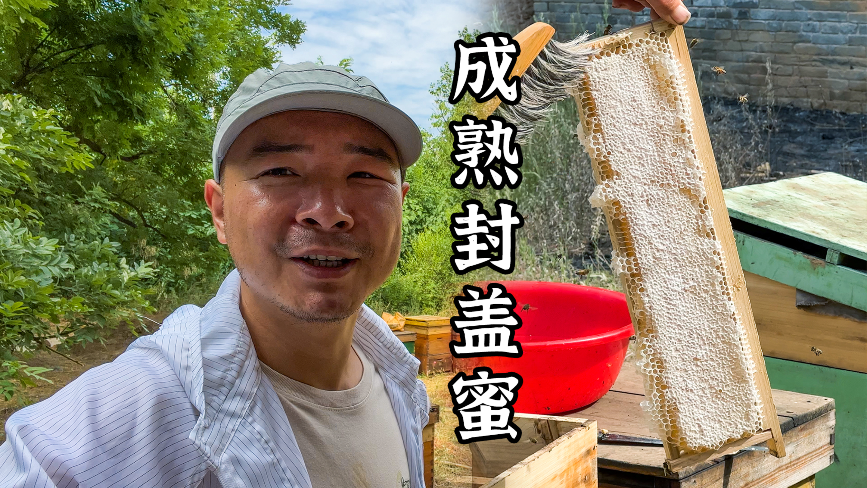 喜欢吃蜂蜜一定选择成熟蜜,这才有营养价值,吃着才香才甜