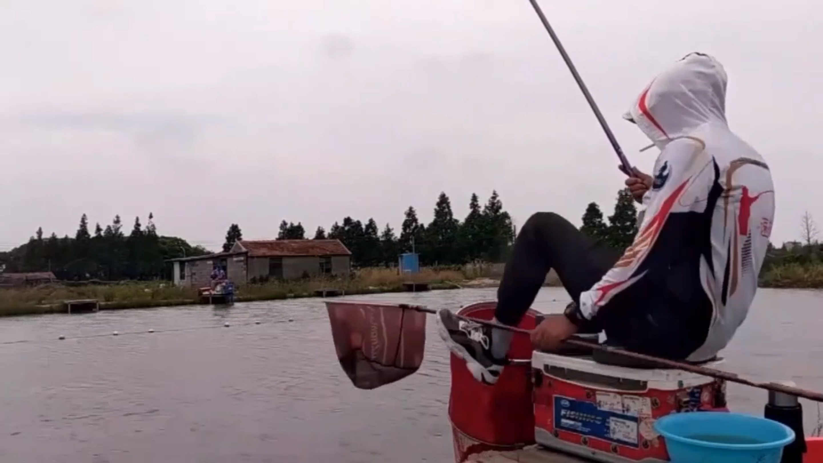 速拔哥钓鲤鱼的方法和技巧,钓鱼饵料配方,满天星泡泡球开饵方法