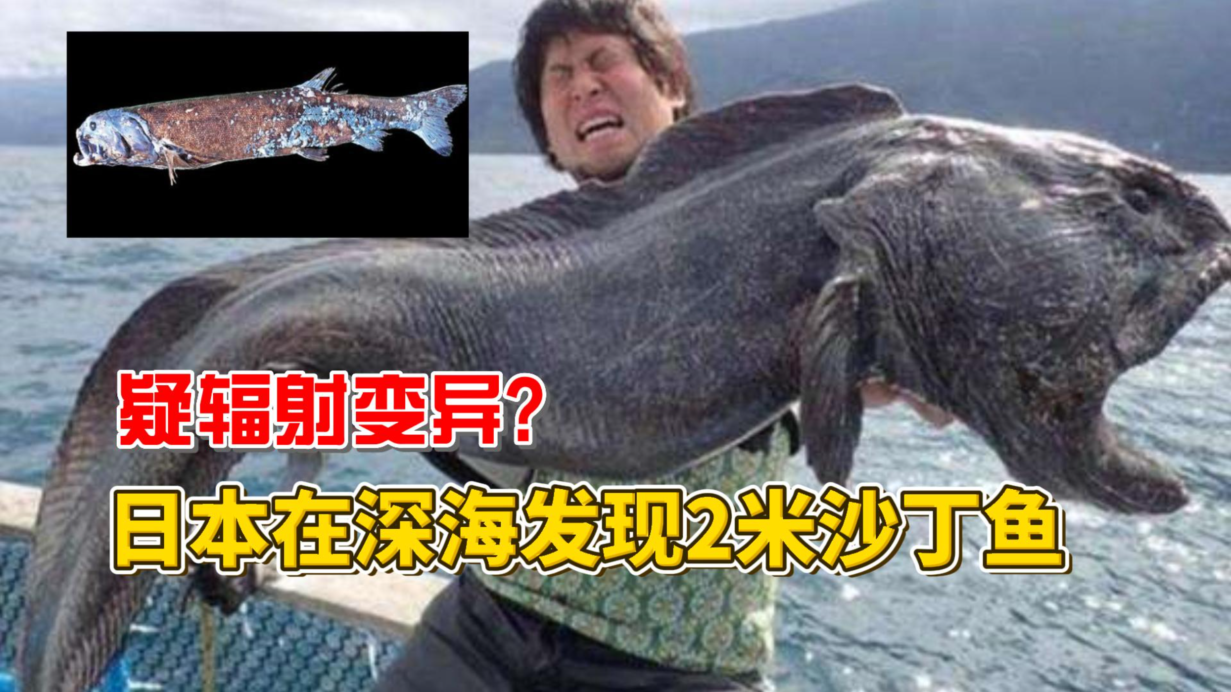 【怪奇实验室】日本在深海发现2米沙丁鱼,疑辐射变异?