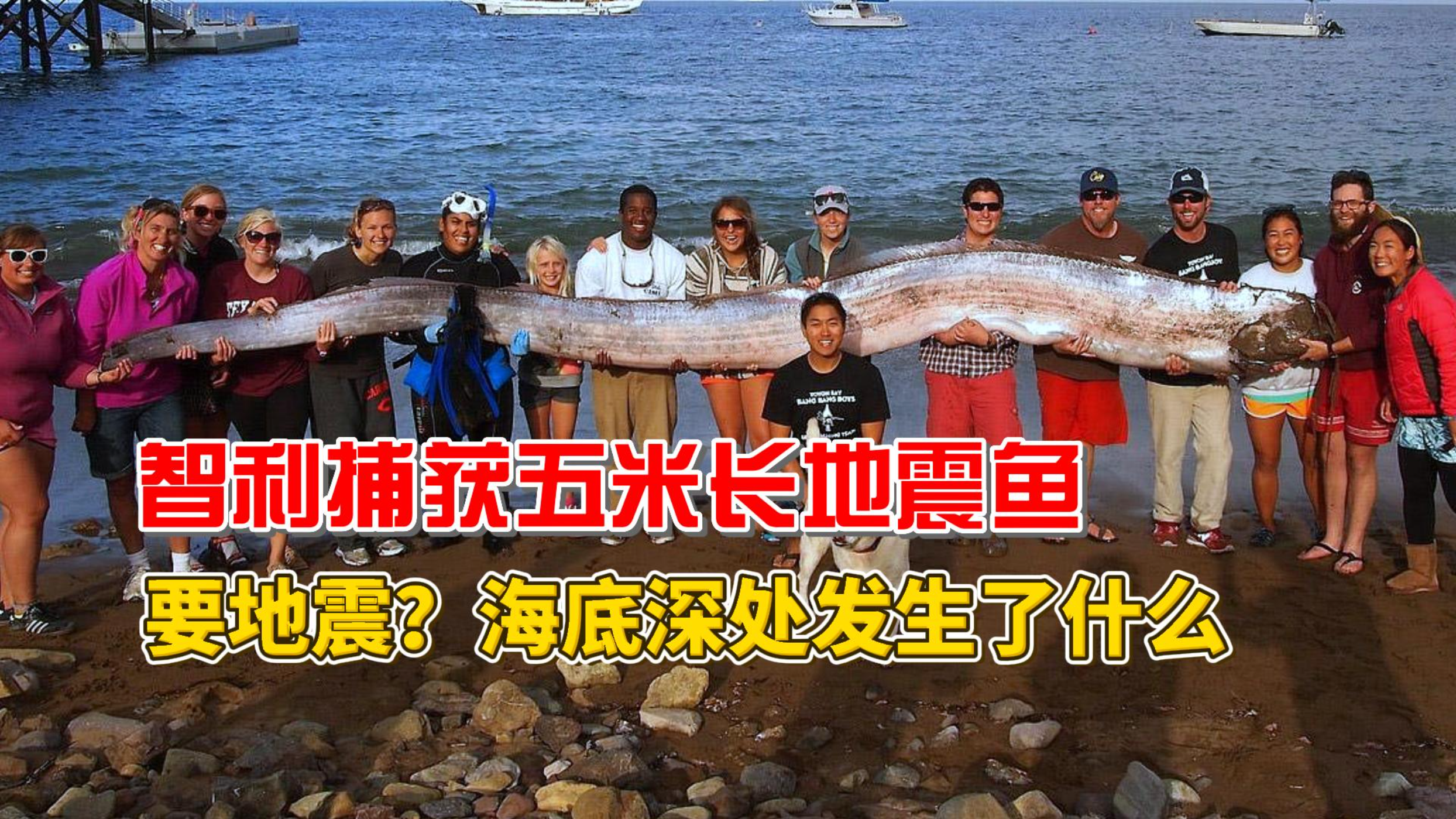 【怪奇实验室】智利捕获五米皇带鱼,海底深处发生了什么会地震吗