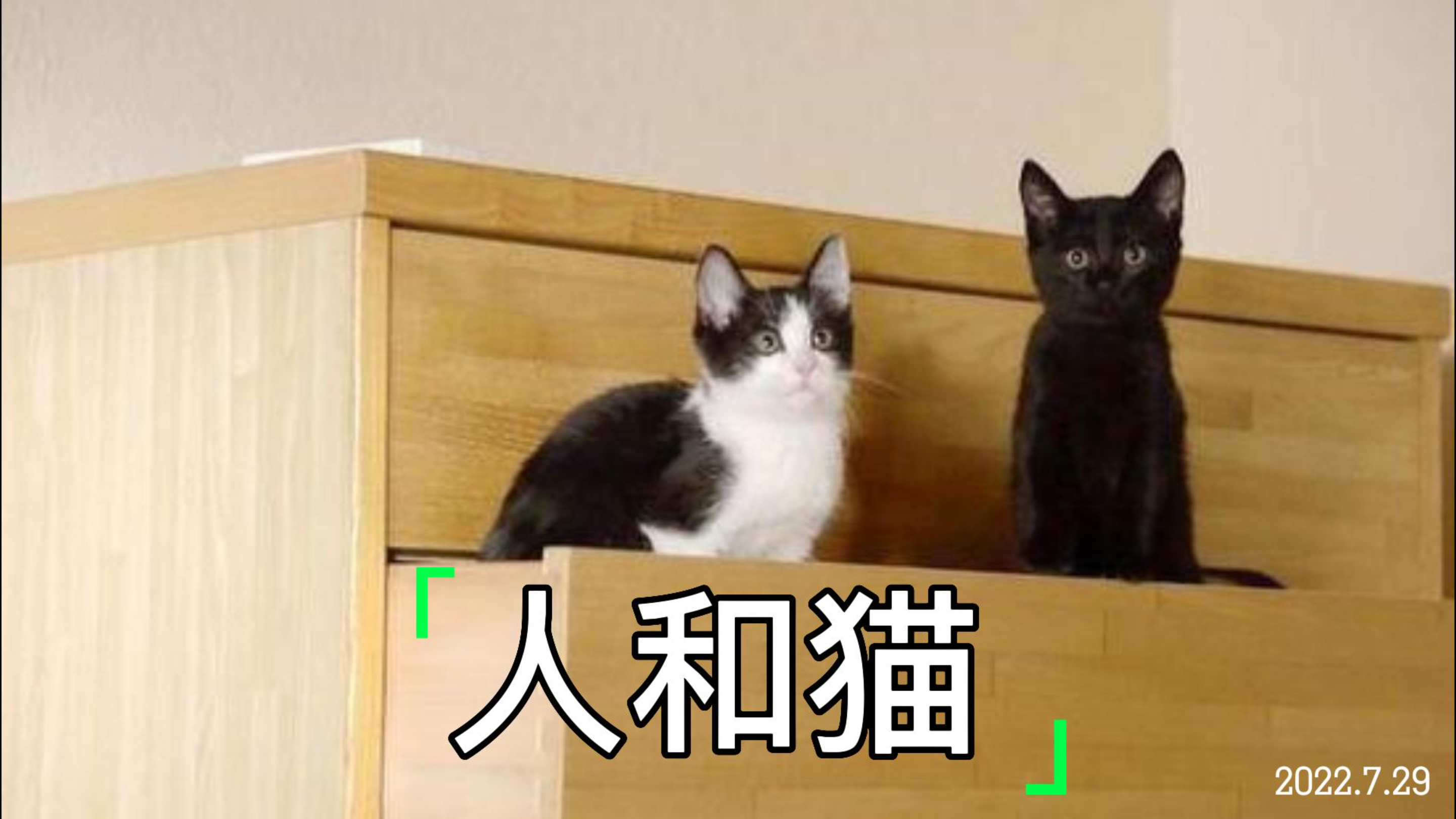 [图]人和猫的故事(弟弟与猫度过了一段快乐时光)