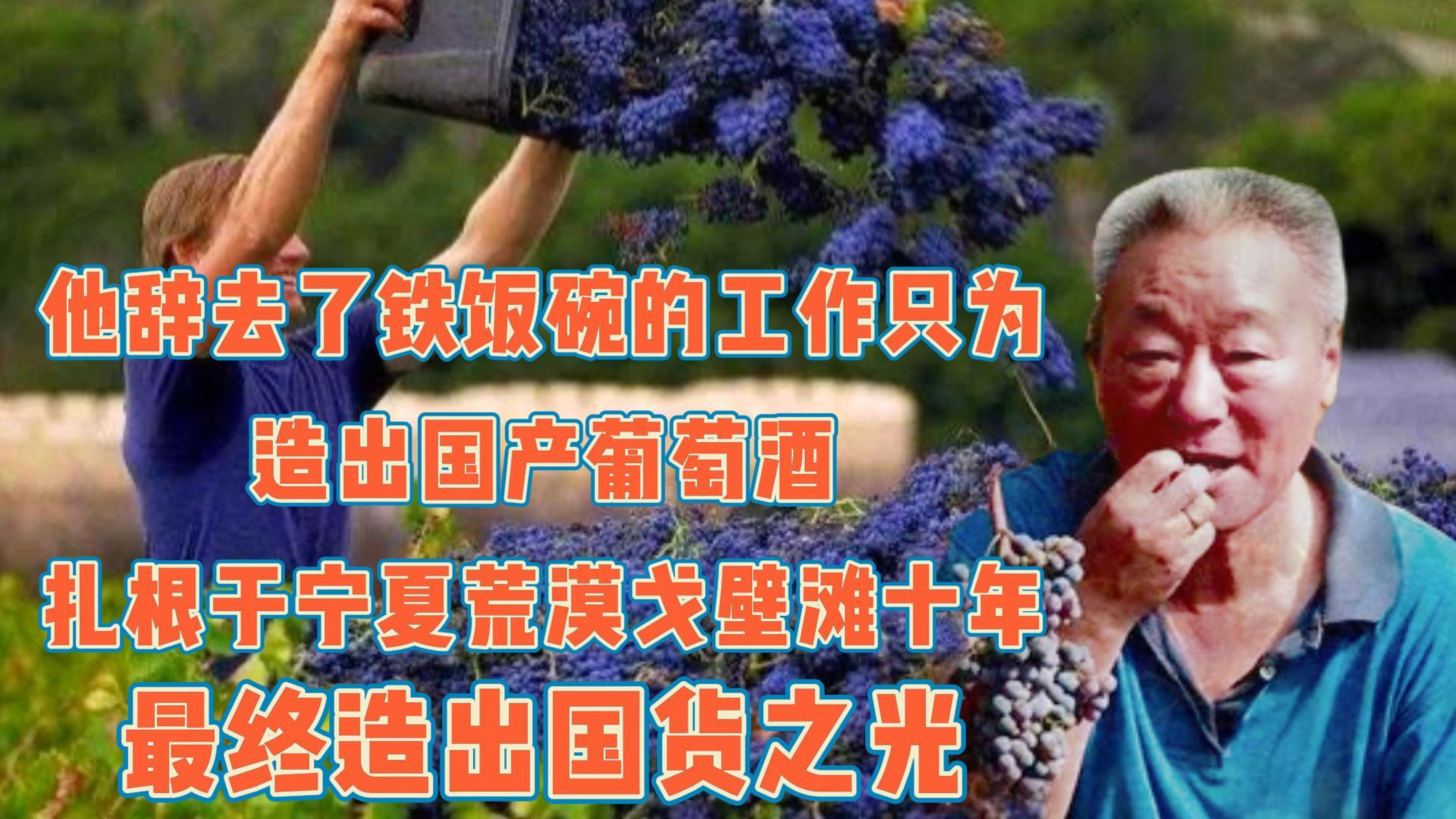 他辞去铁饭碗工作,扎根宁夏戈壁滩十年,只为造出国货之光葡萄酒