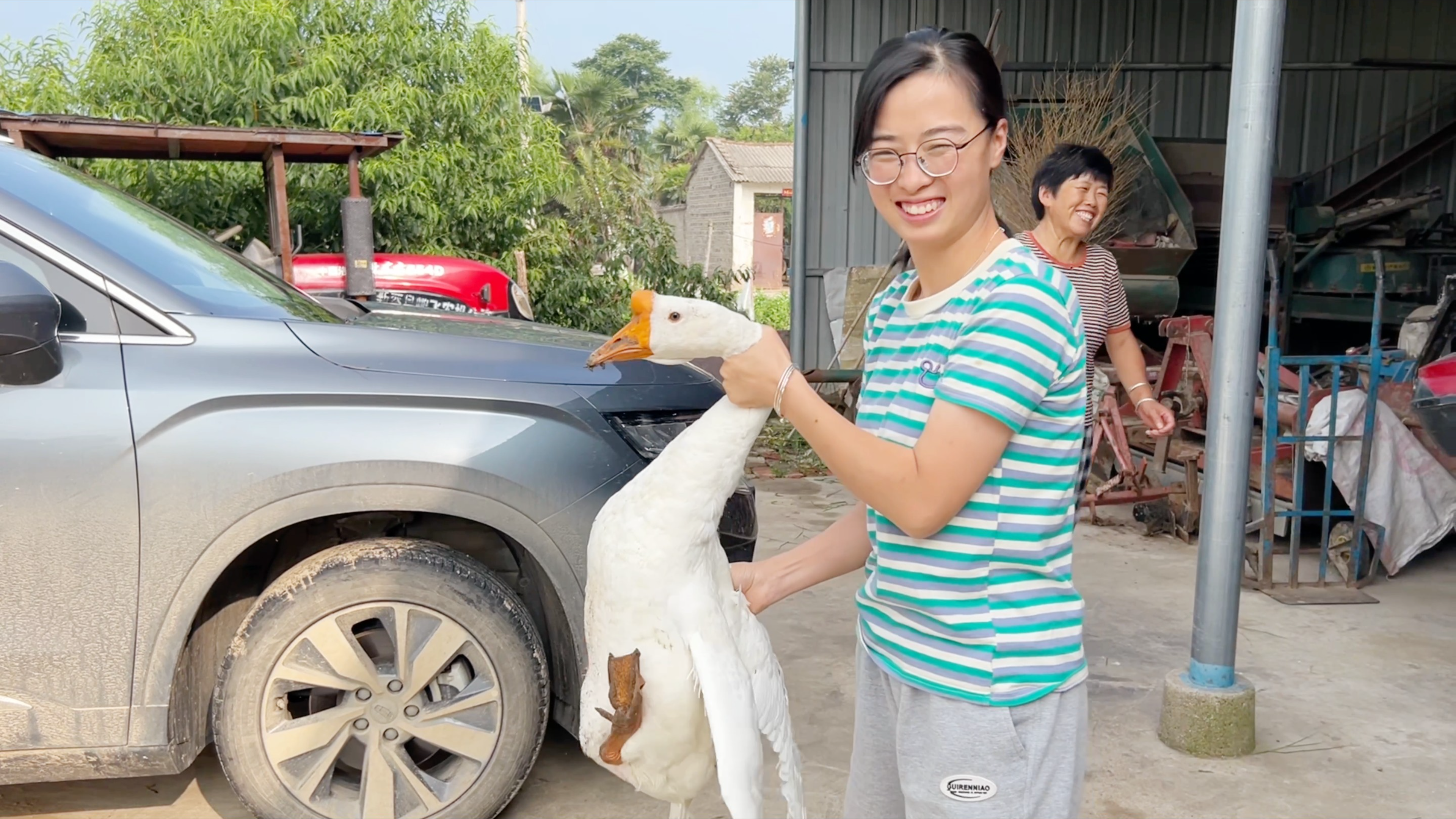 婆婆过生日地锅炖大鹅,8斤重的3年老鹅好吃吗?餐桌上婆媳让不停