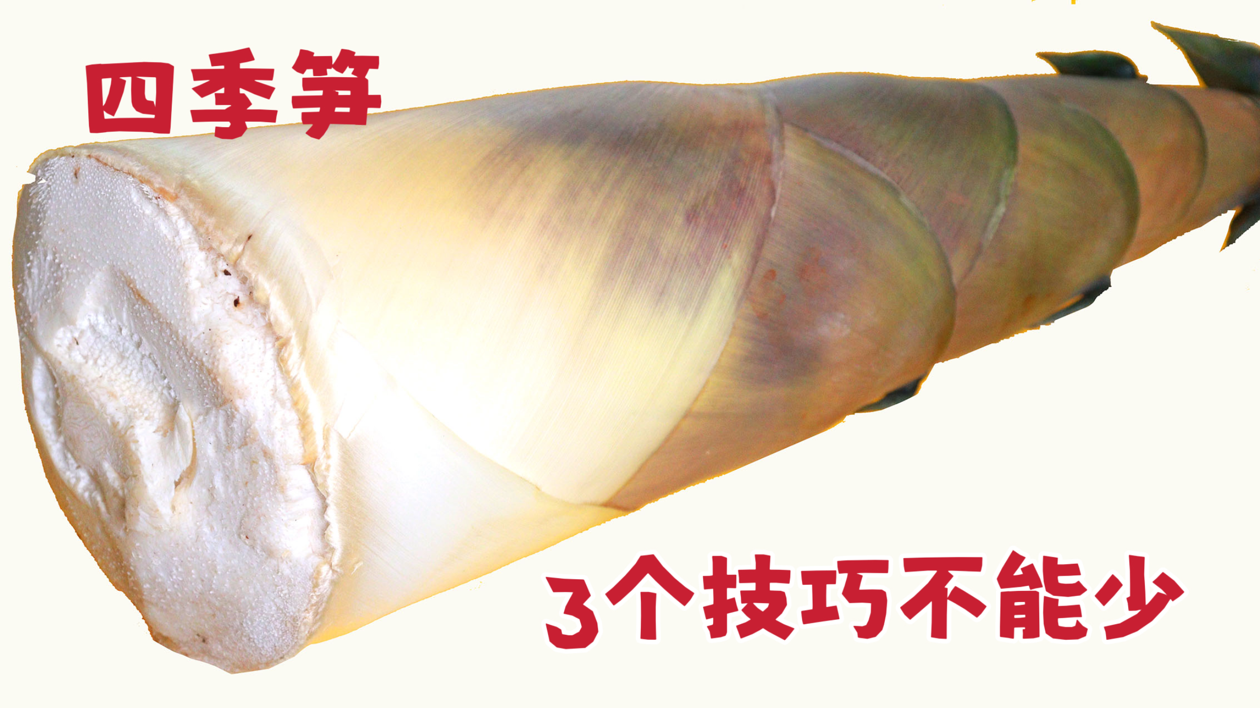 炒笋子,光焯水可不行,3个关键步骤不能少,出锅脆嫩鲜美不苦涩