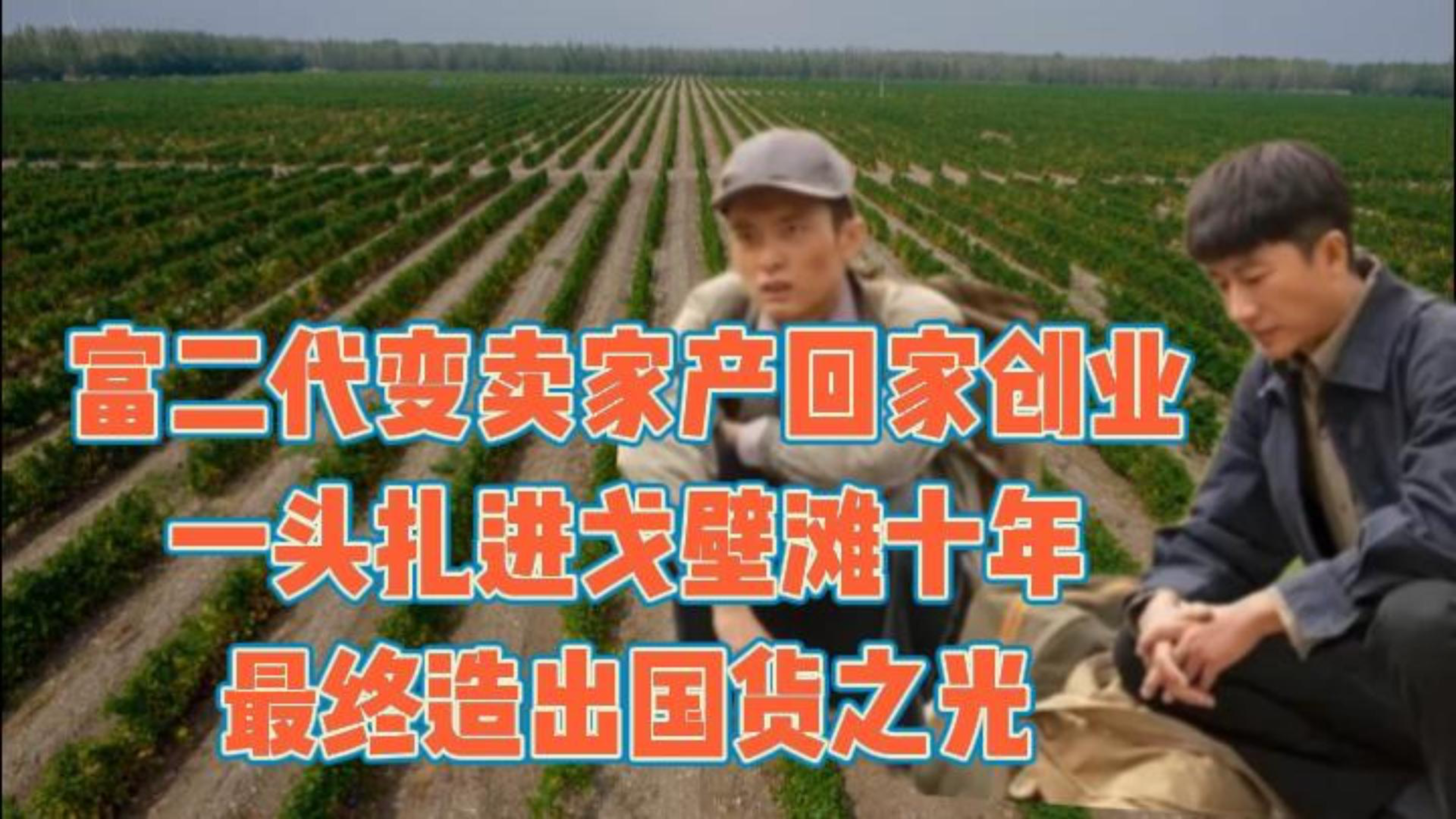 富二代变卖家产回家创业,一头扎进戈壁滩十年,最终造出国货之光