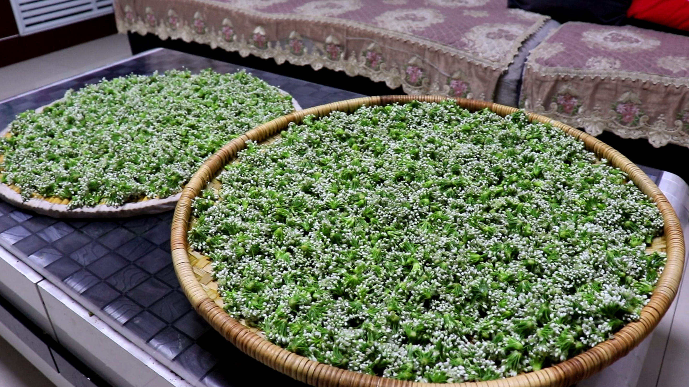 这才是韭菜花的正确腌制方法，味道鲜美好吃有秘诀，做法超简单