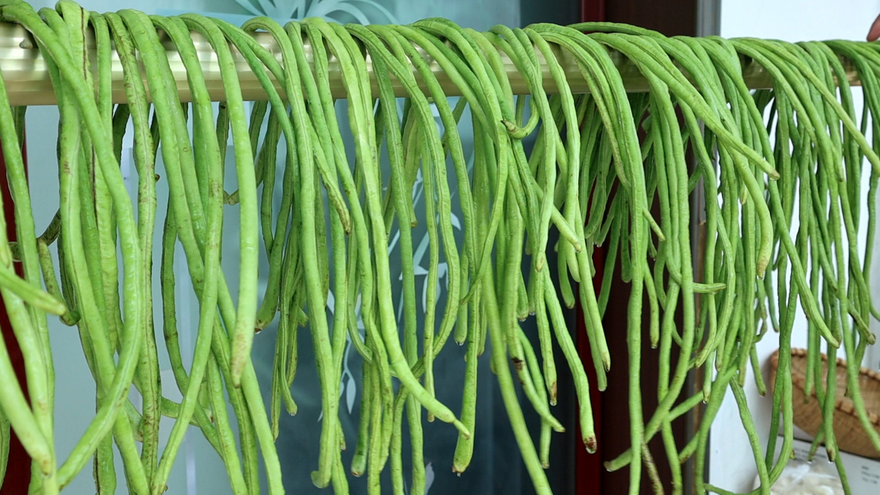 吃豆角的季节到了,买10斤豆角储存,炒肉炖肉超好吃,12个月不坏