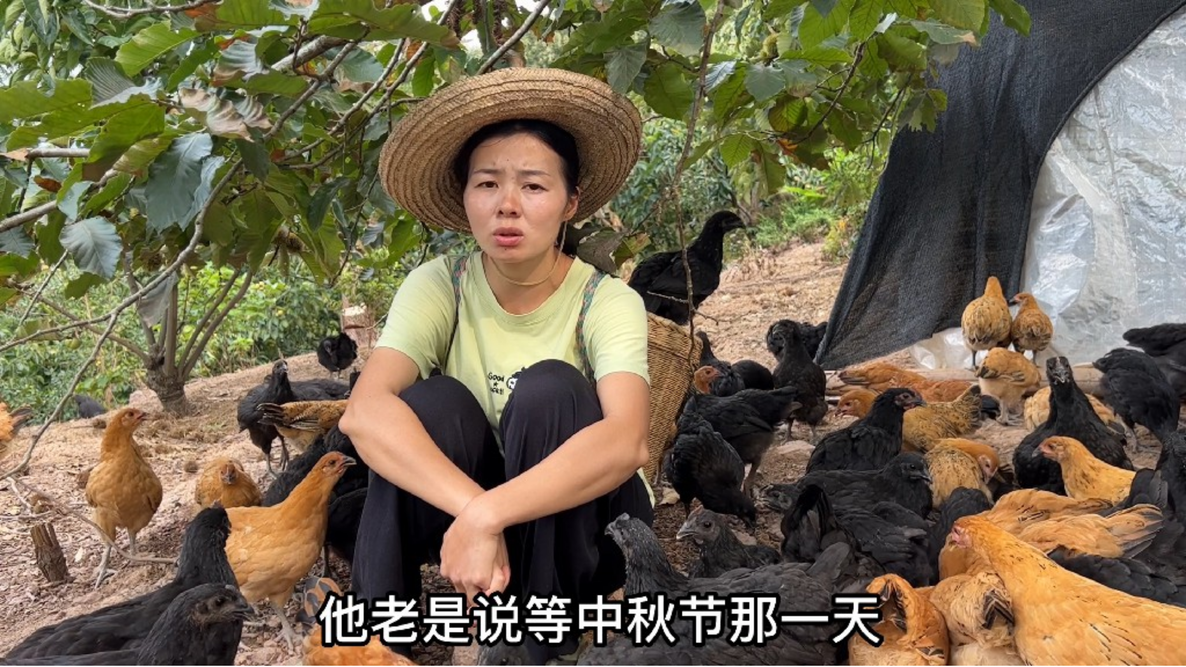 阿金哥说节前带我去他家,到现在他只字不提,是不是有难言之隐?
