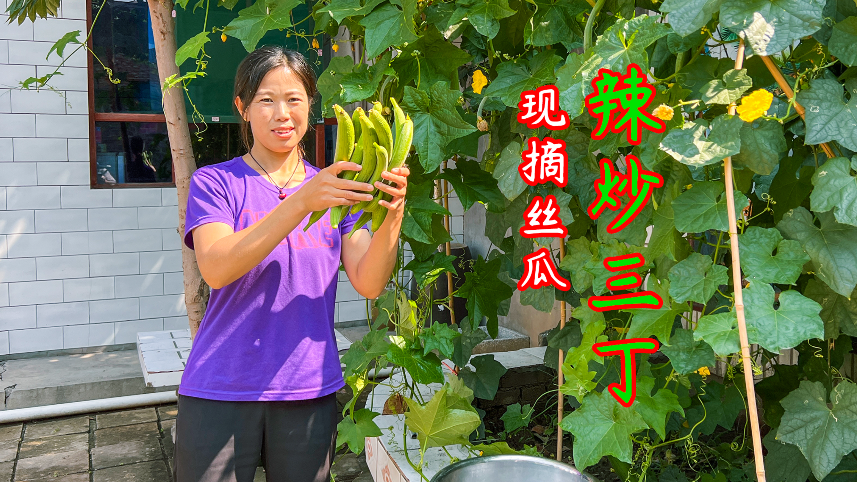 丝瓜现摘就是嫩,小勇炒辣三丁,微辣带汤汁拌饭吃味道绝绝子