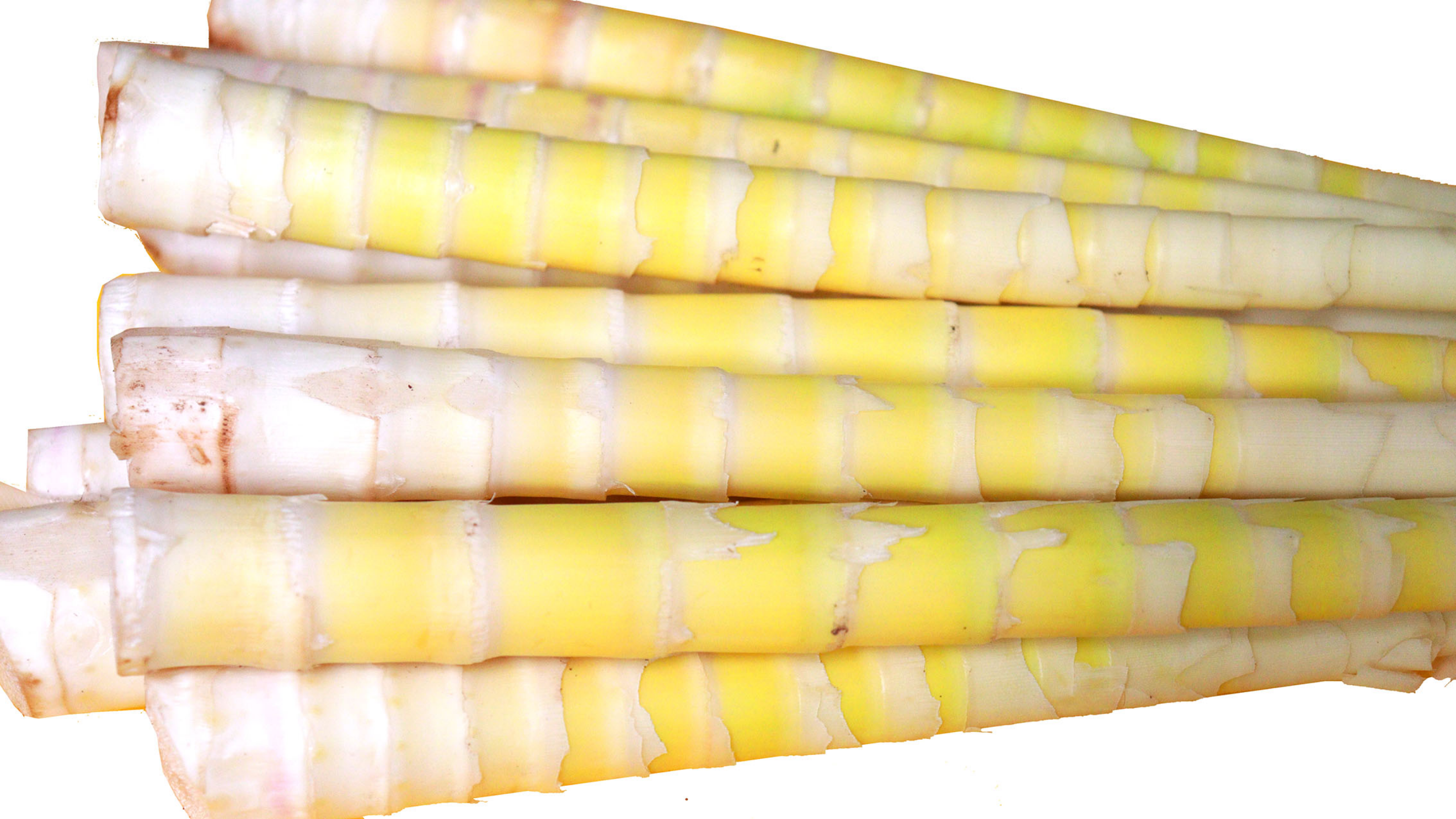 四川人这个季节就爱“笋子炒肉”,掌握技巧不苦不涩,脆爽下饭菜