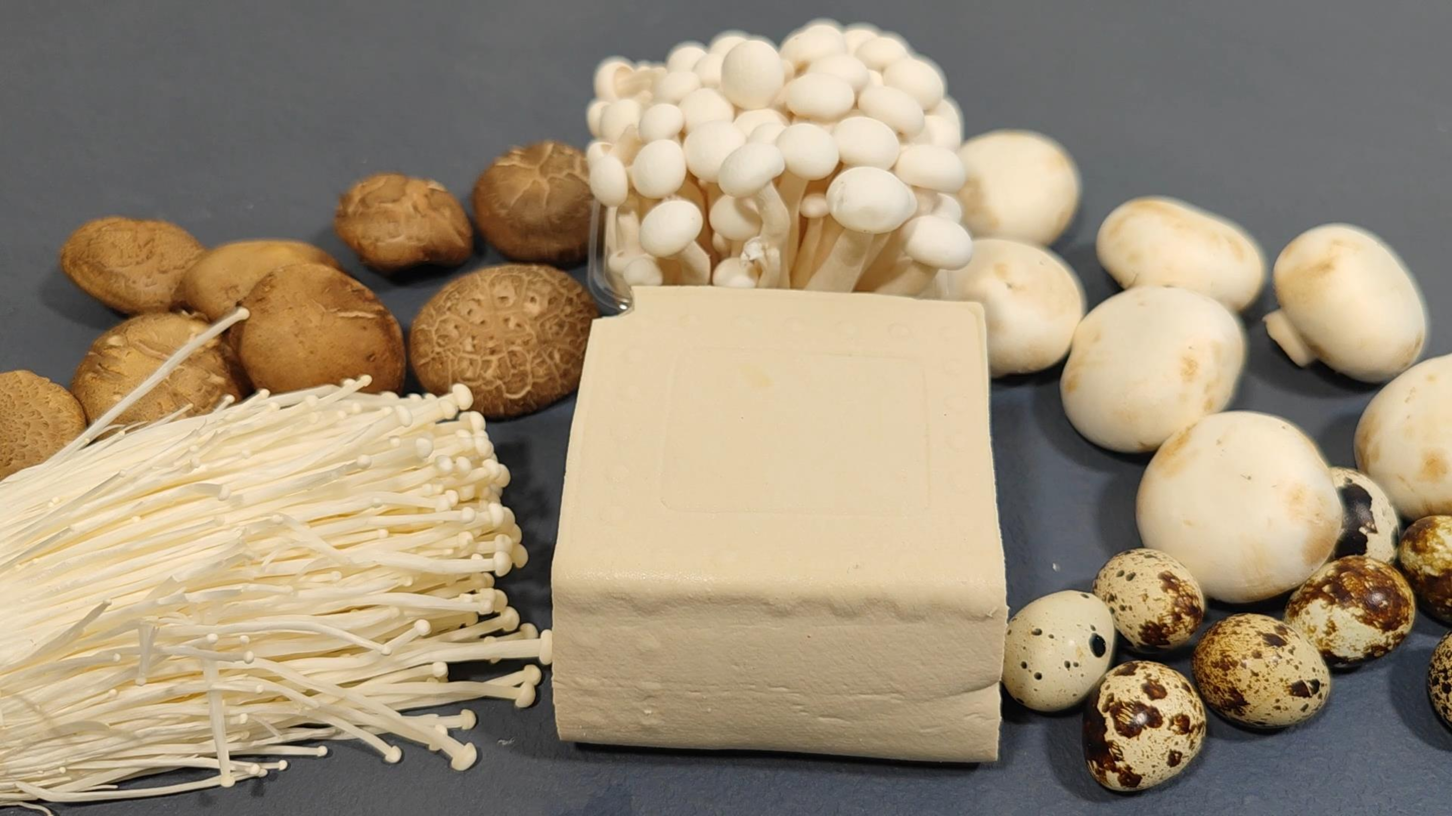 豆腐和蘑菇这样做越炖越入味,零添加只加盐,天冷要吃菌菇豆腐煲