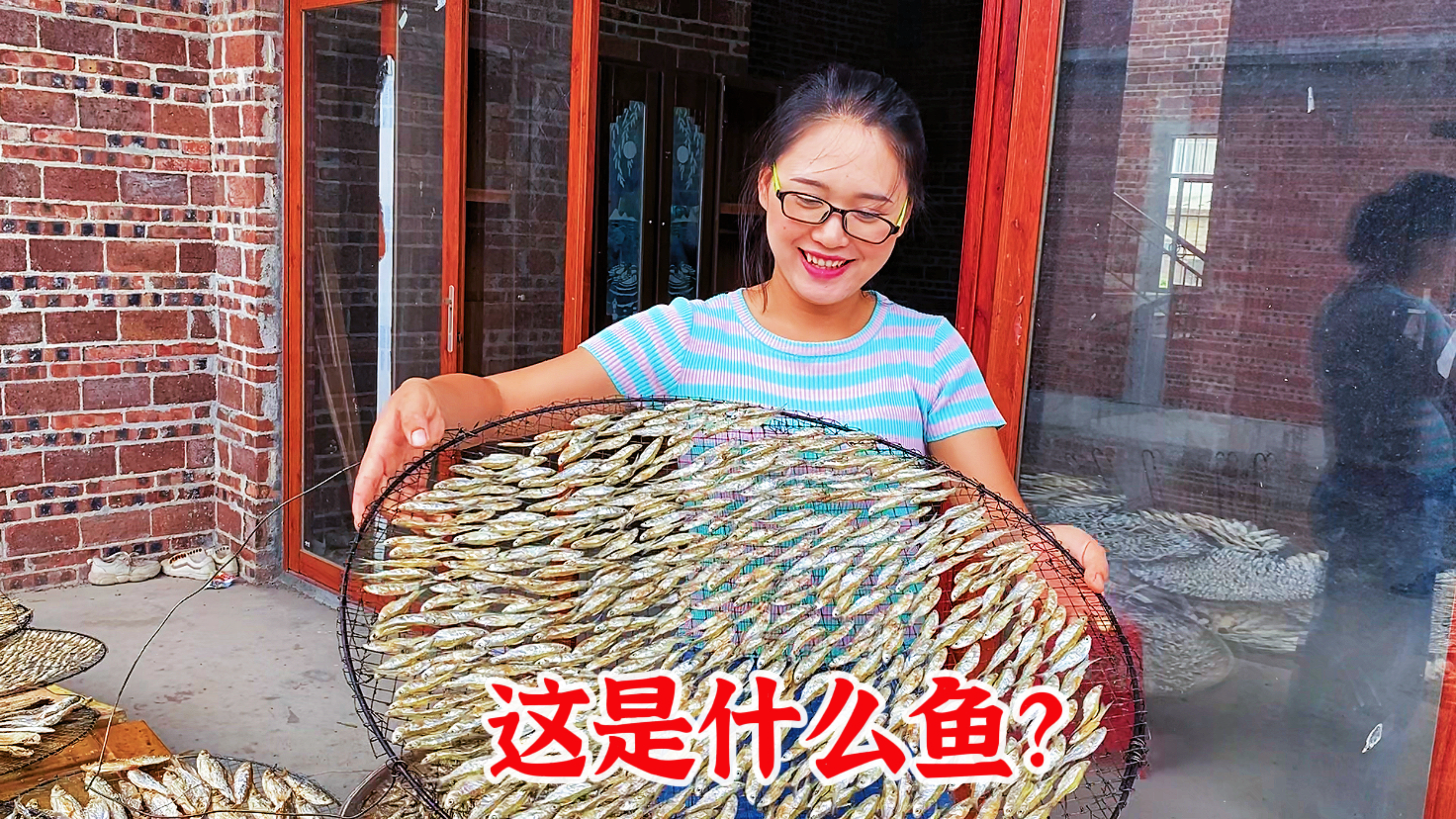 这种野生鱼叫什么?村里老人打渔为生,却无人知道这鱼的学名