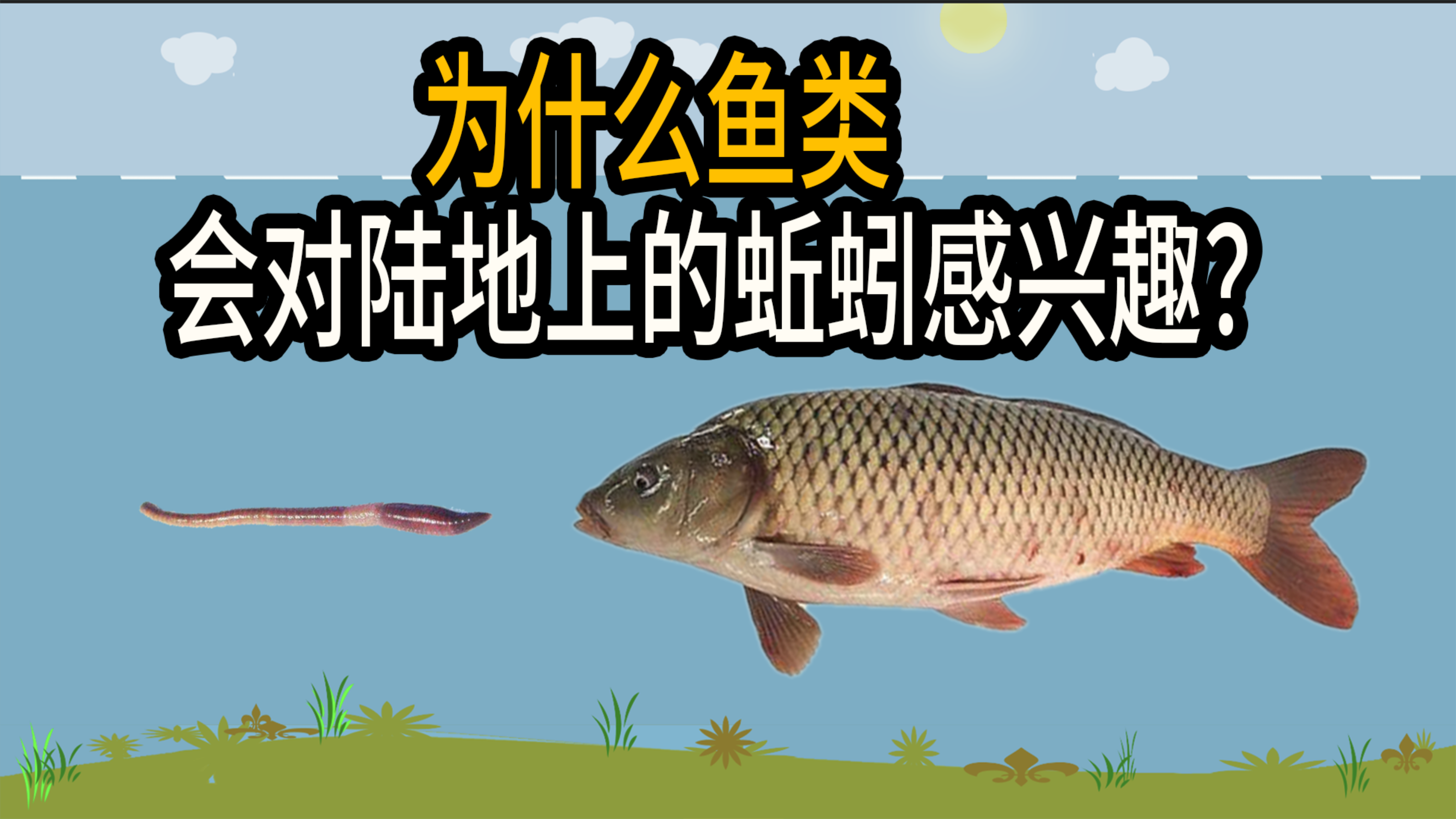 明明蚯蚓不生活在水里,为什么鱼会喜欢吃它?