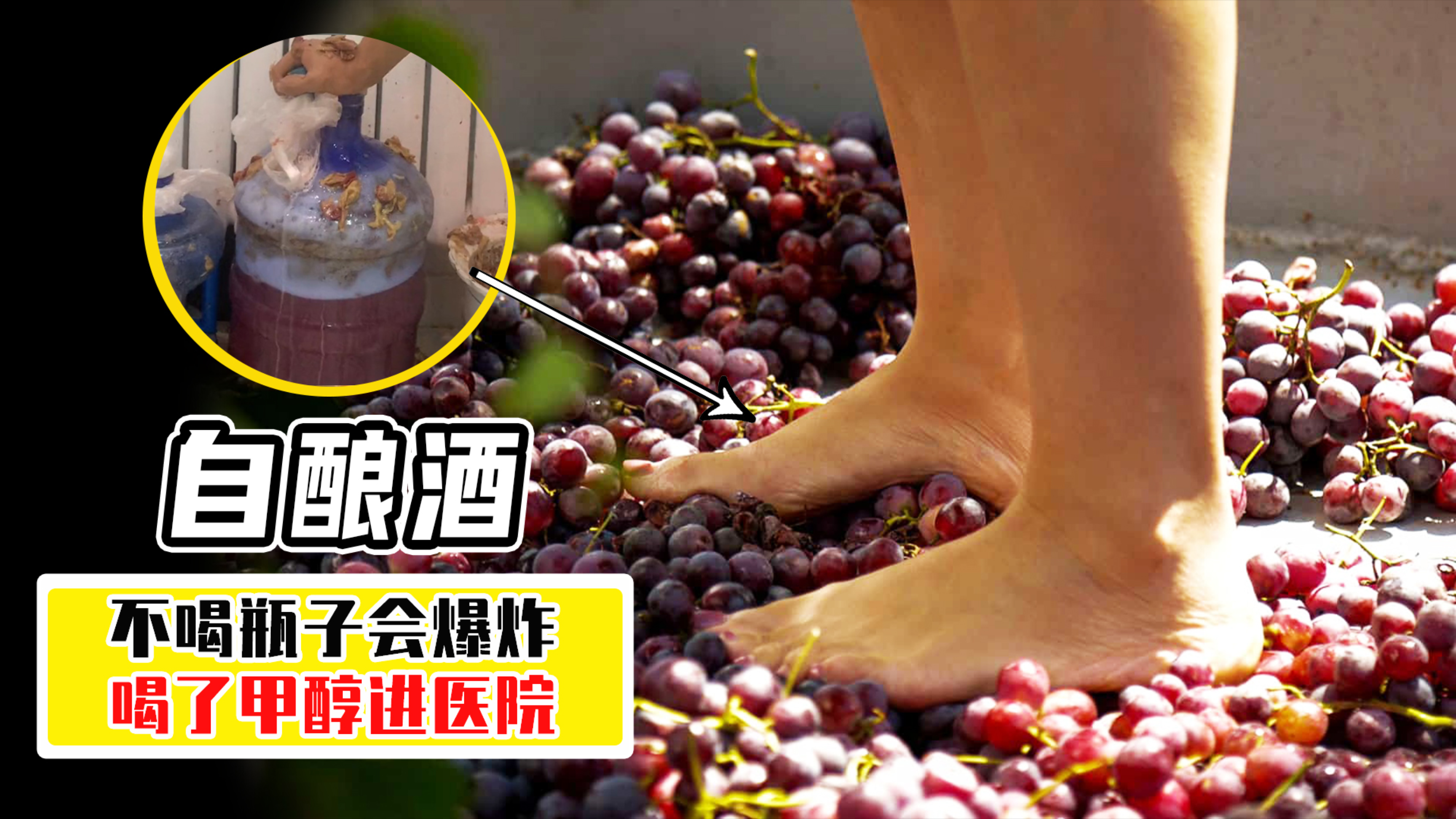 喝了进医院,不喝会爆炸,自酿葡萄酒为何这么危险?