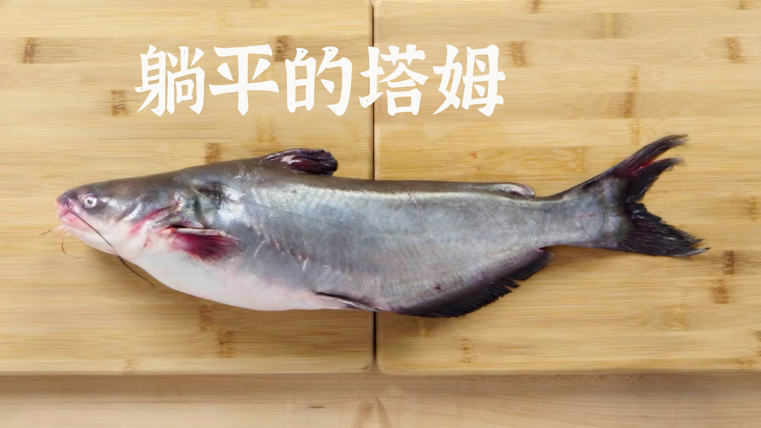 处理一条躺平的塔姆。
