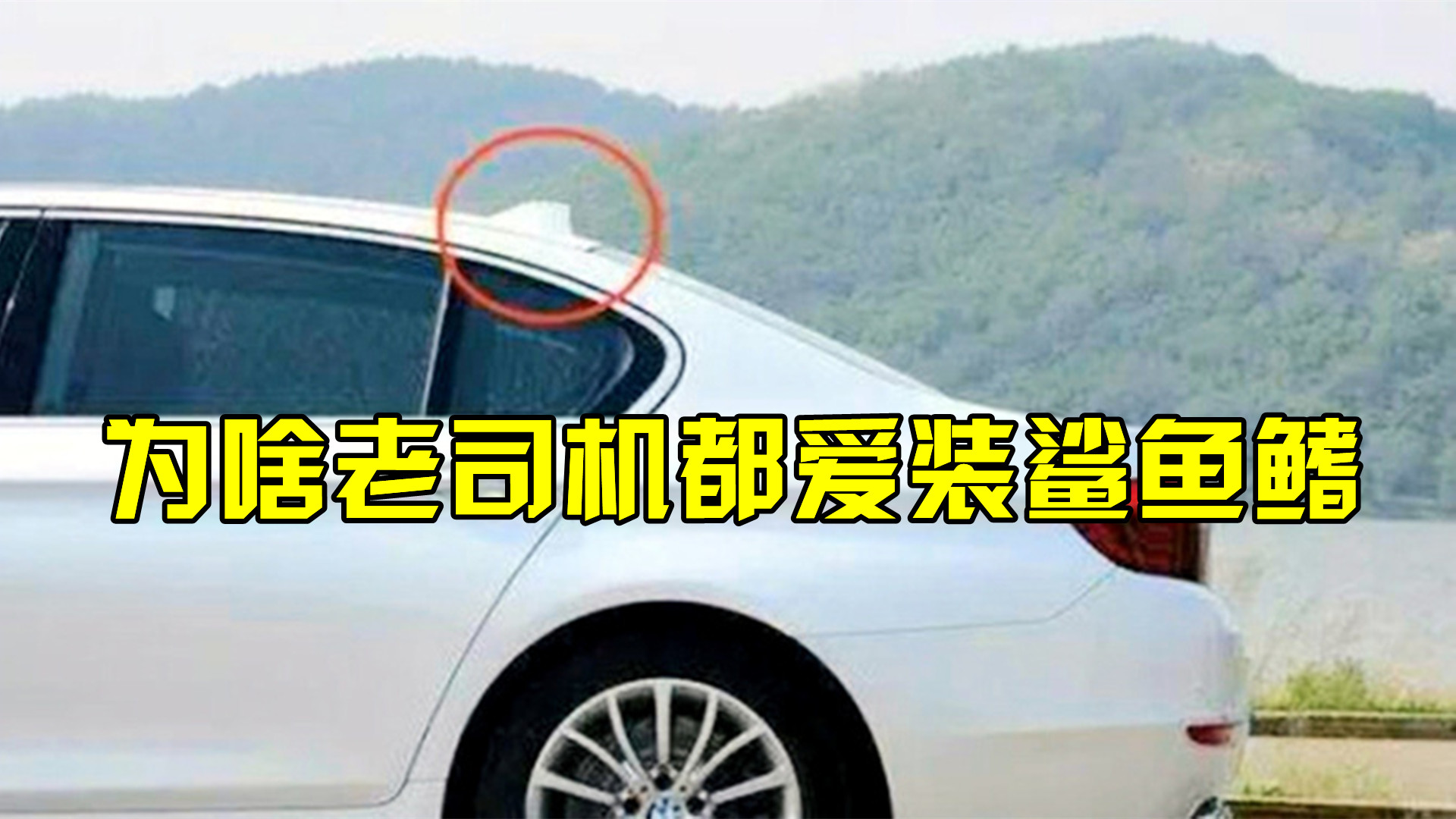 车顶上的“鲨鱼鳍”有啥用?为啥老司机都爱装?内行人说出了原因