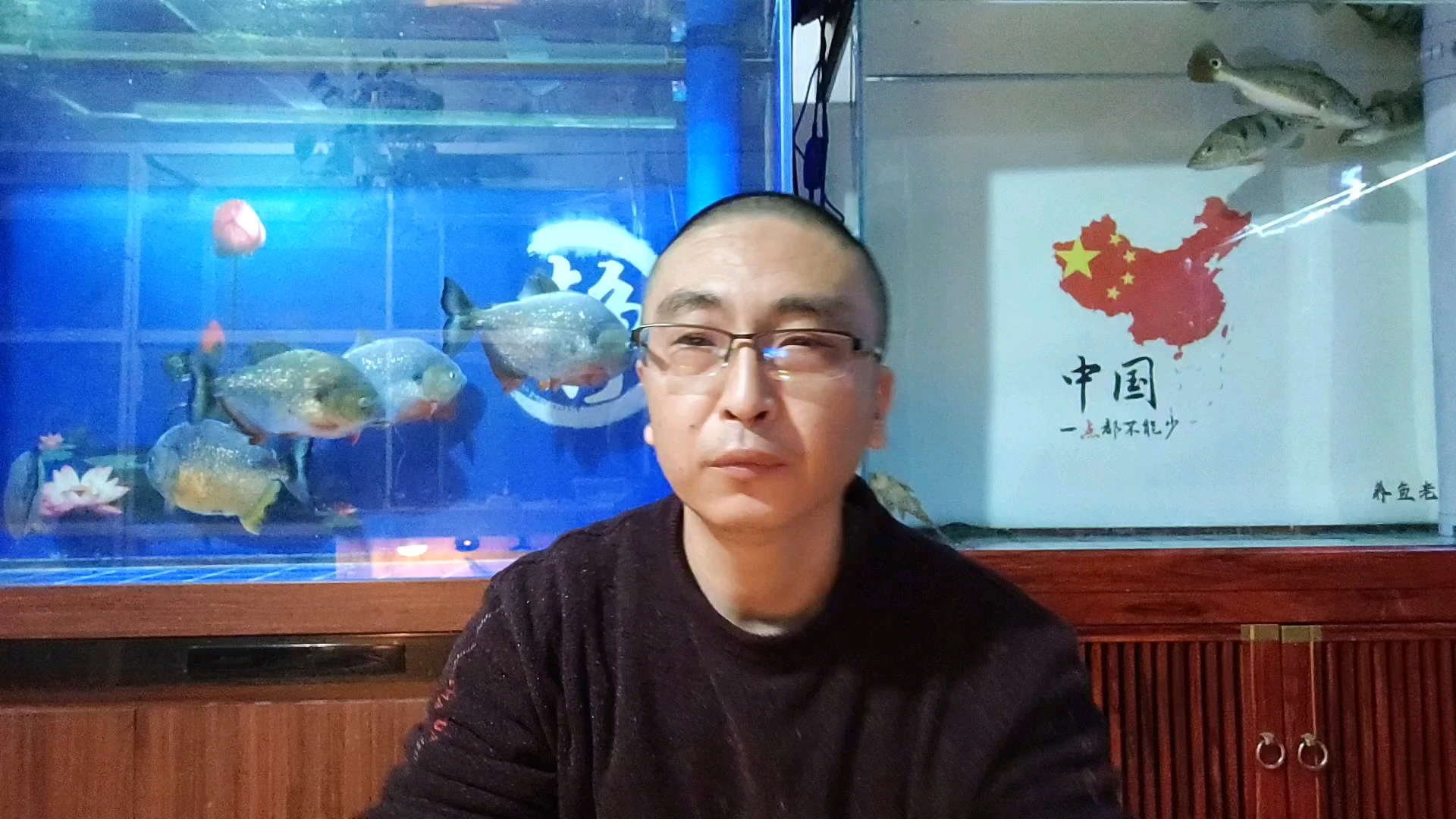 新手鱼友养鱼,不要太过追求细节,这样反而不好