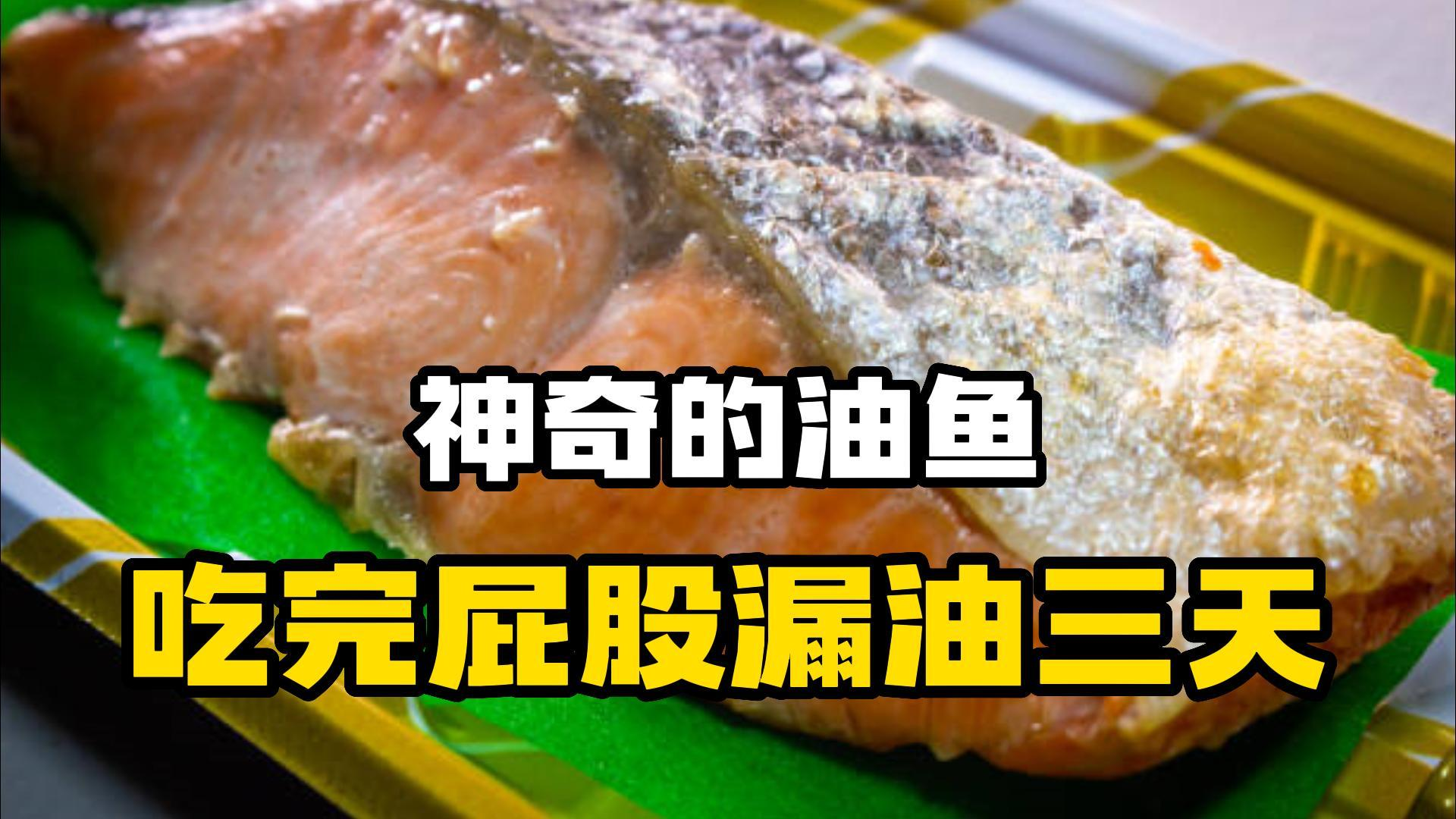 这种鱼不要再吃了!吃完屁股漏油3天,为啥会这样?