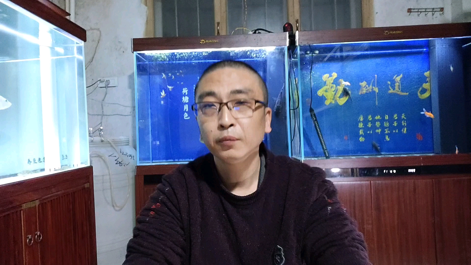 新手养鱼，在换水上应该注意的几点问题