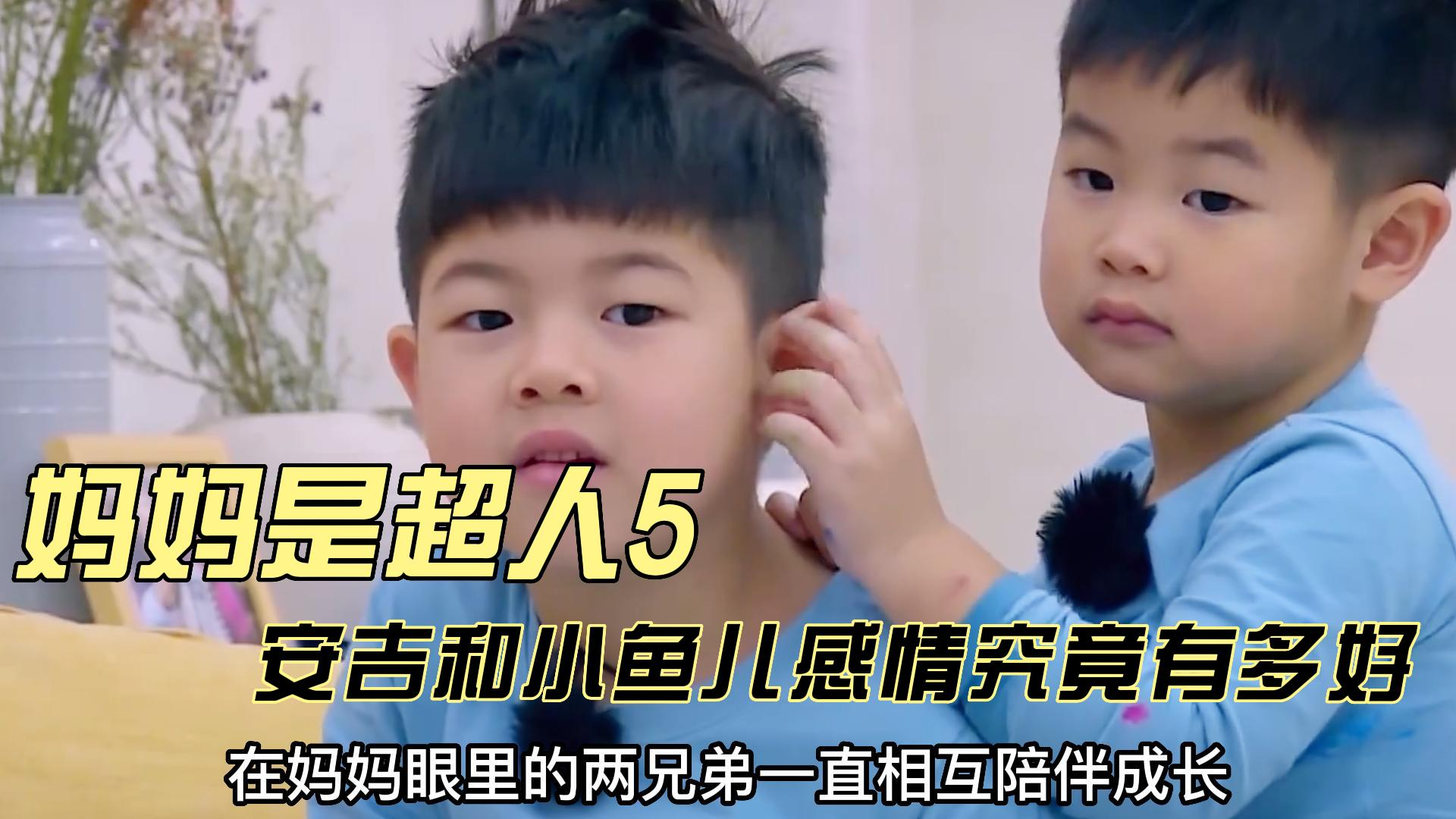 安吉和小鱼儿这对兄弟真的好有爱啊,也是家庭氛围好的原因吧