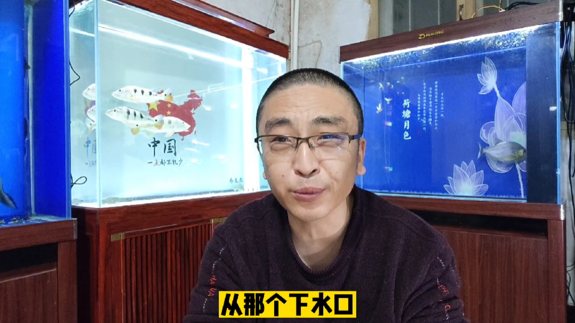 发现鱼缸内白点，白线过多，就一定是虫子吗？