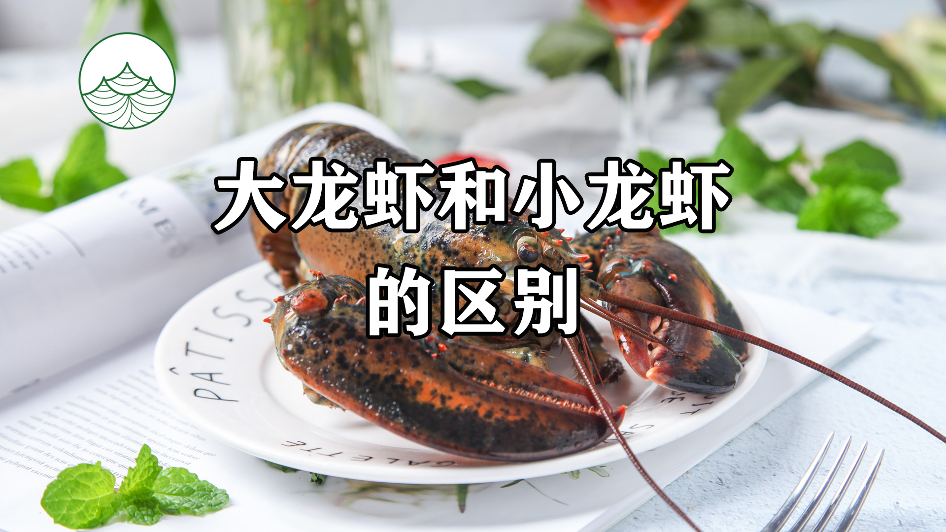 大龙虾和小龙虾有什么区别?