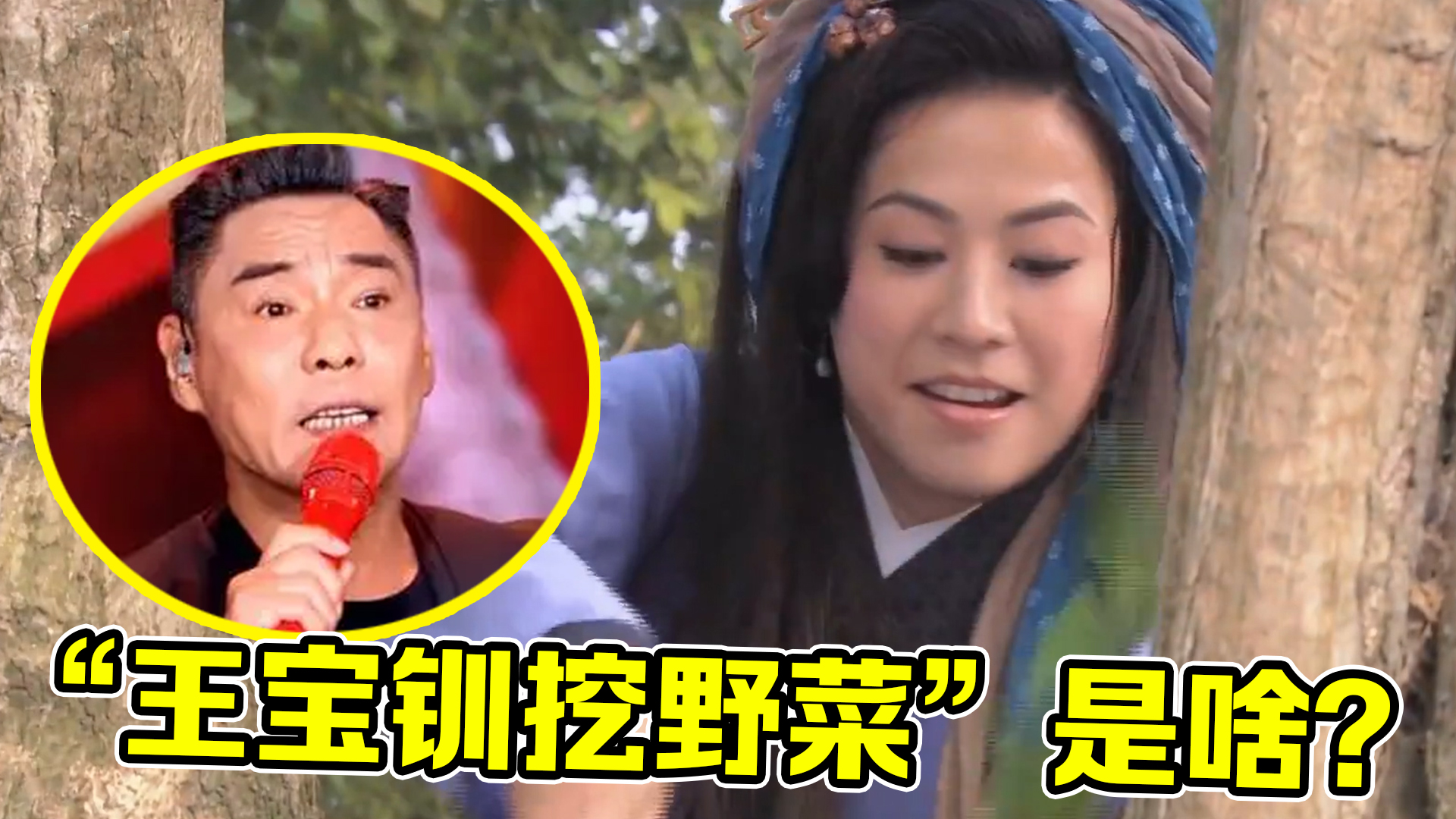 “王宝钏挖野菜”是啥梗？太狗血引32亿播放，一夜带火3首老歌！