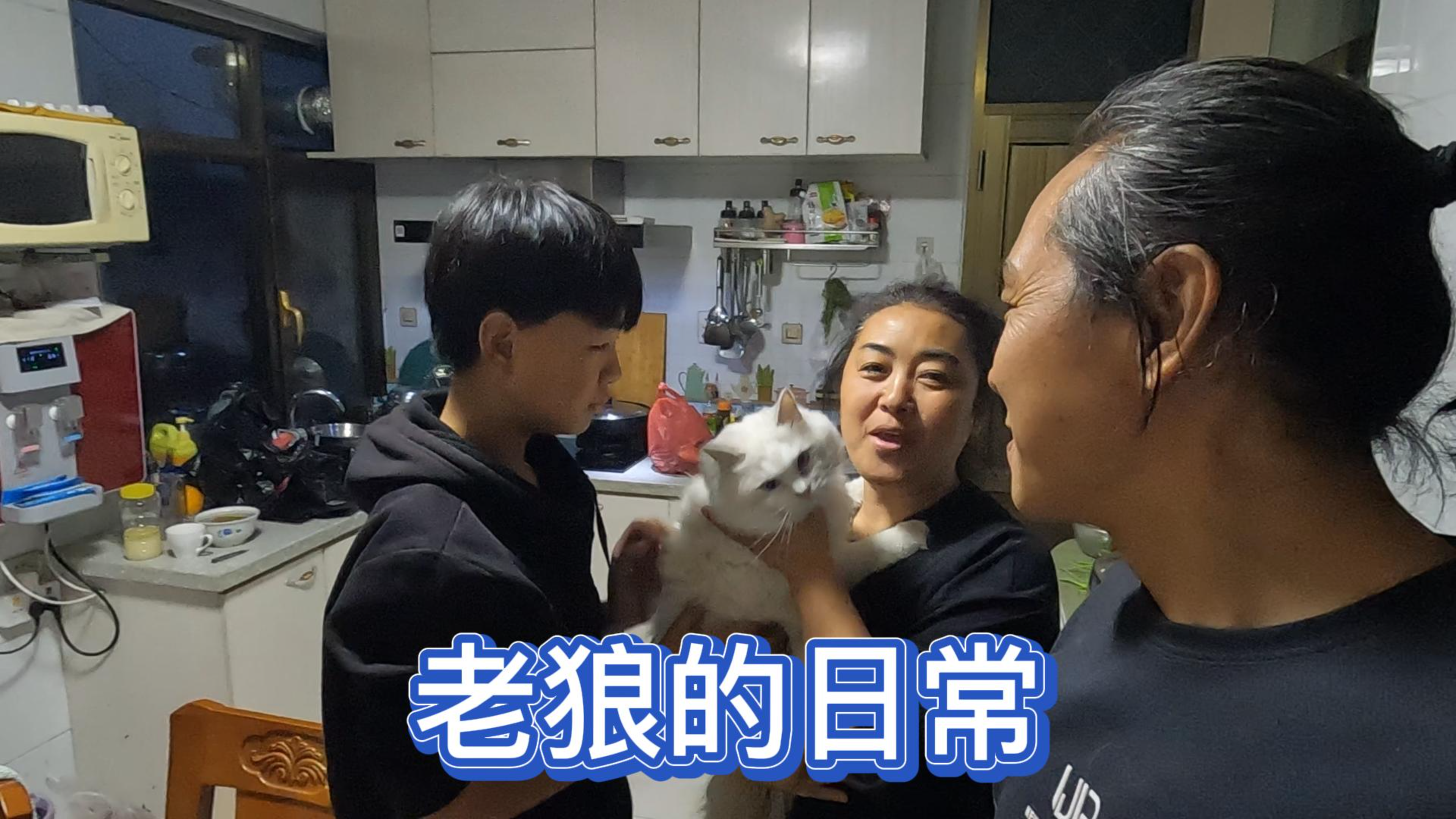 扇贝肉能不能低温保存,老狼想多买点带在路上吃