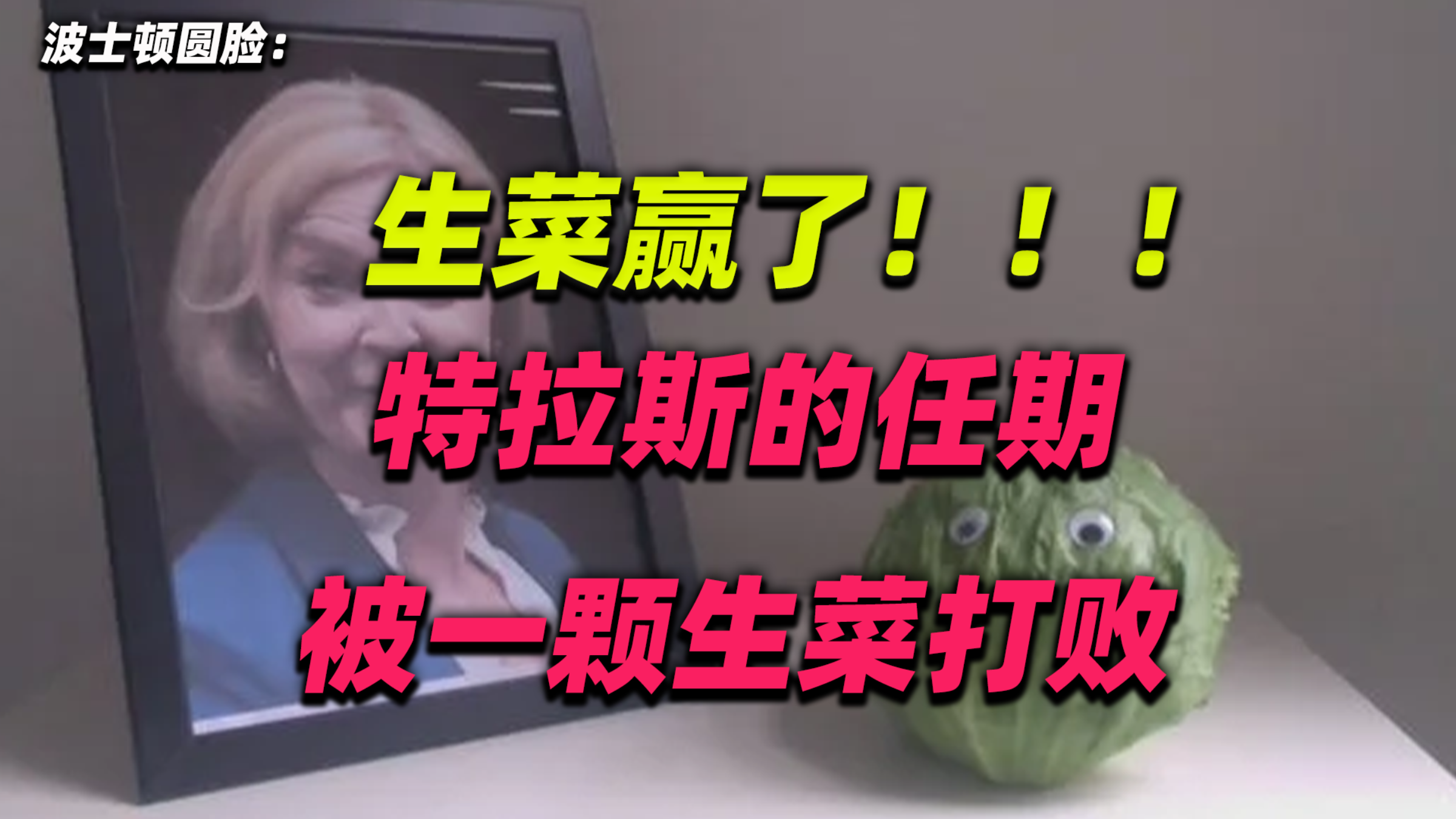 波士顿圆脸:生菜赢了!!!特拉斯的任期被一颗生菜打败