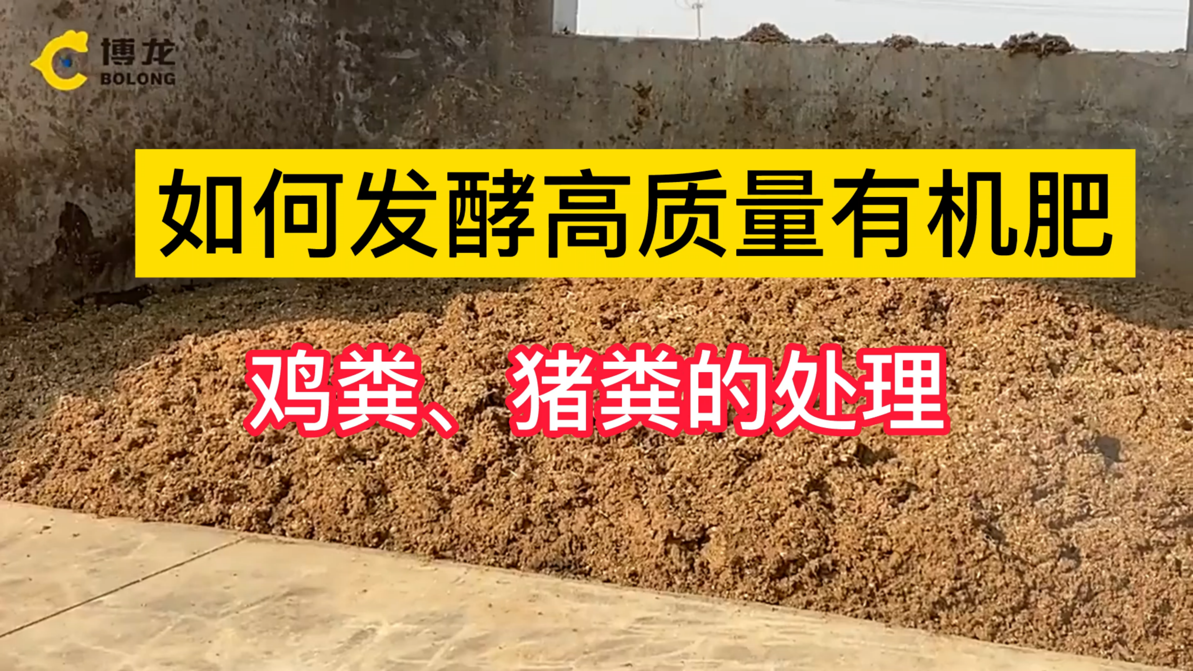 如何将鸡粪发酵成高质量有机肥