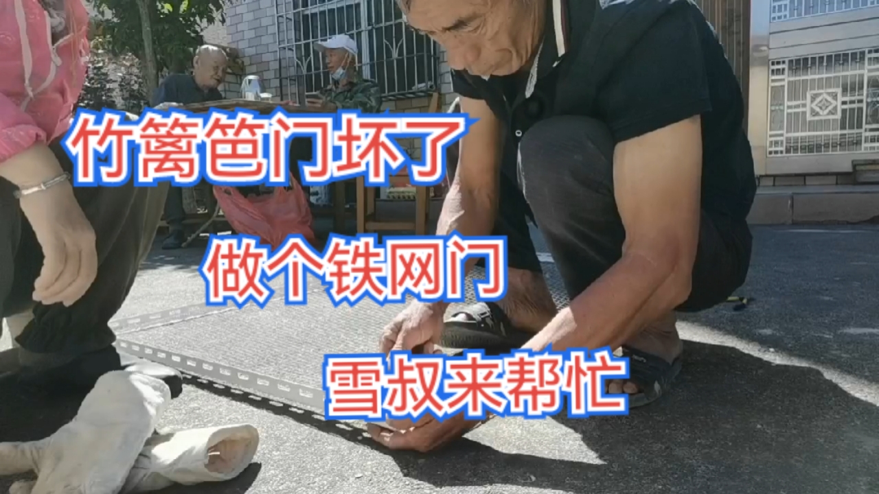 竹篱笆门坏了。竹篱笆门不经用,这次做个铁网门,雪叔来帮忙!