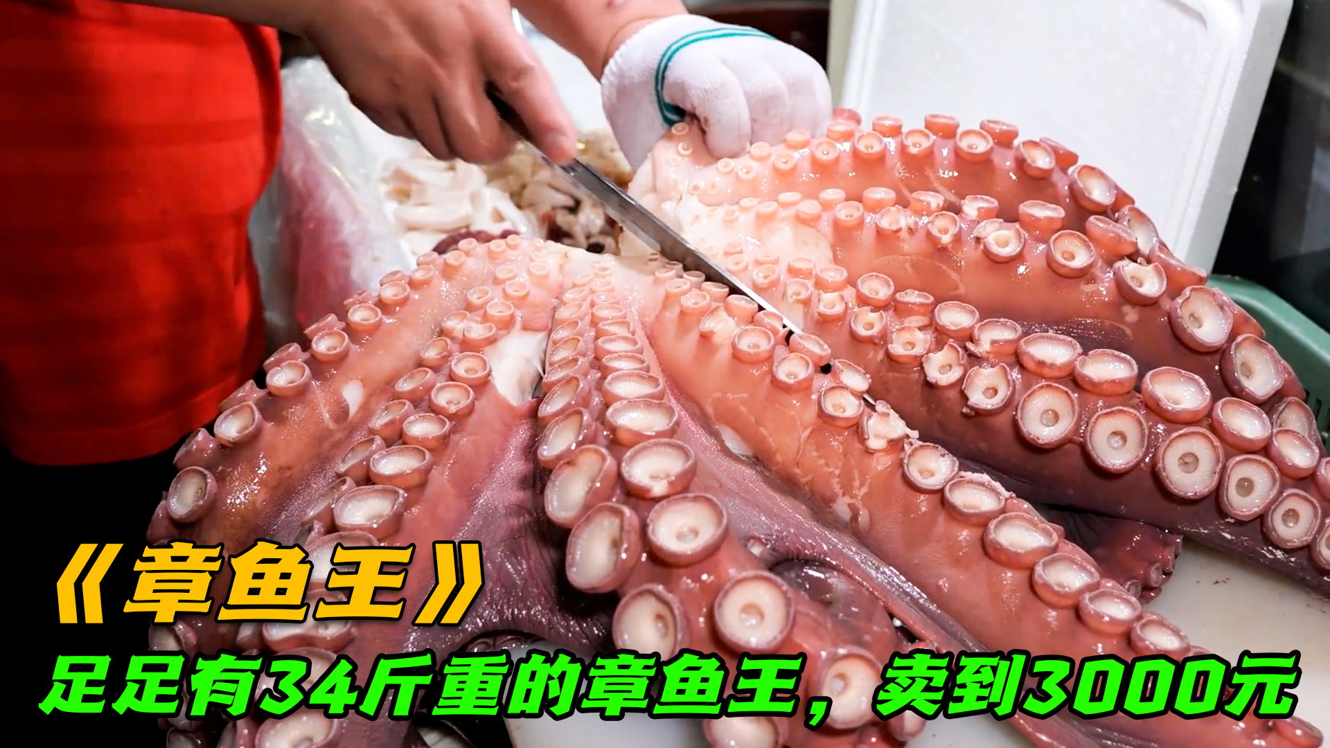 足足34斤的章鱼王,一斤重的触须拿来蘸芥末吃,整只卖到3000元