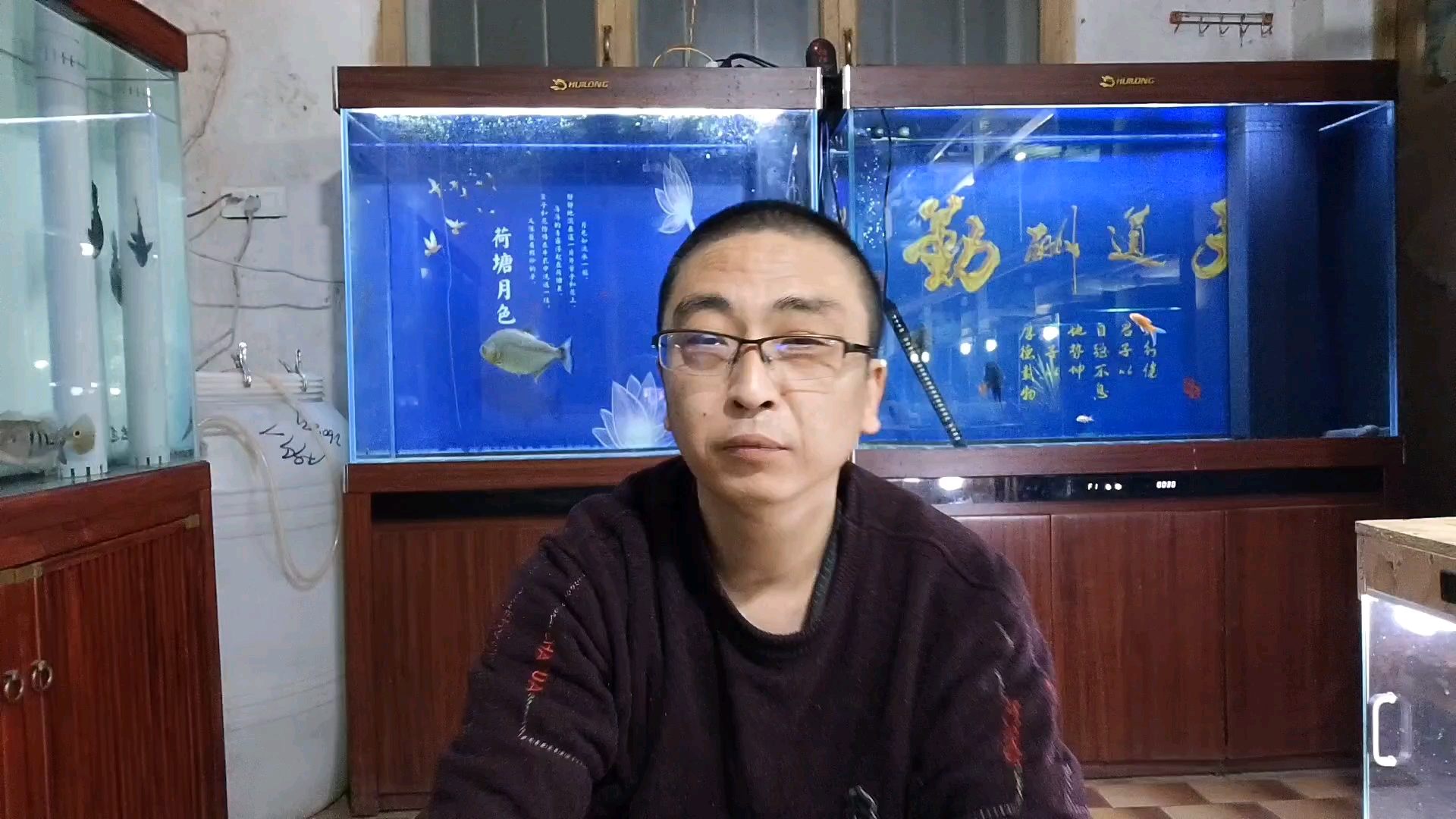 冬季养鱼,哪些品种可以不加温?