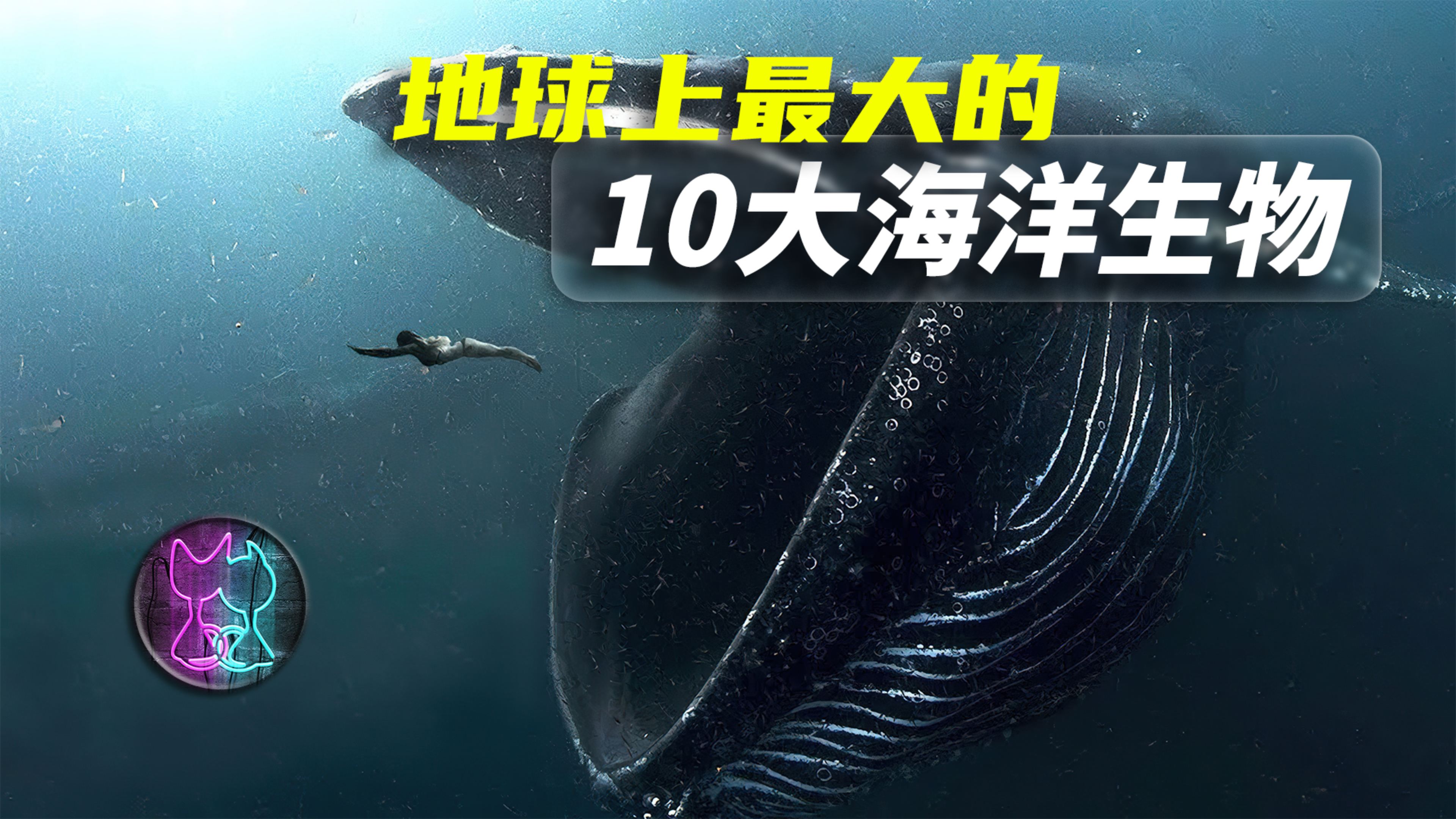 地球上最大的10种海洋生物,最后一个打败蓝鲸,成新一代海洋巨兽